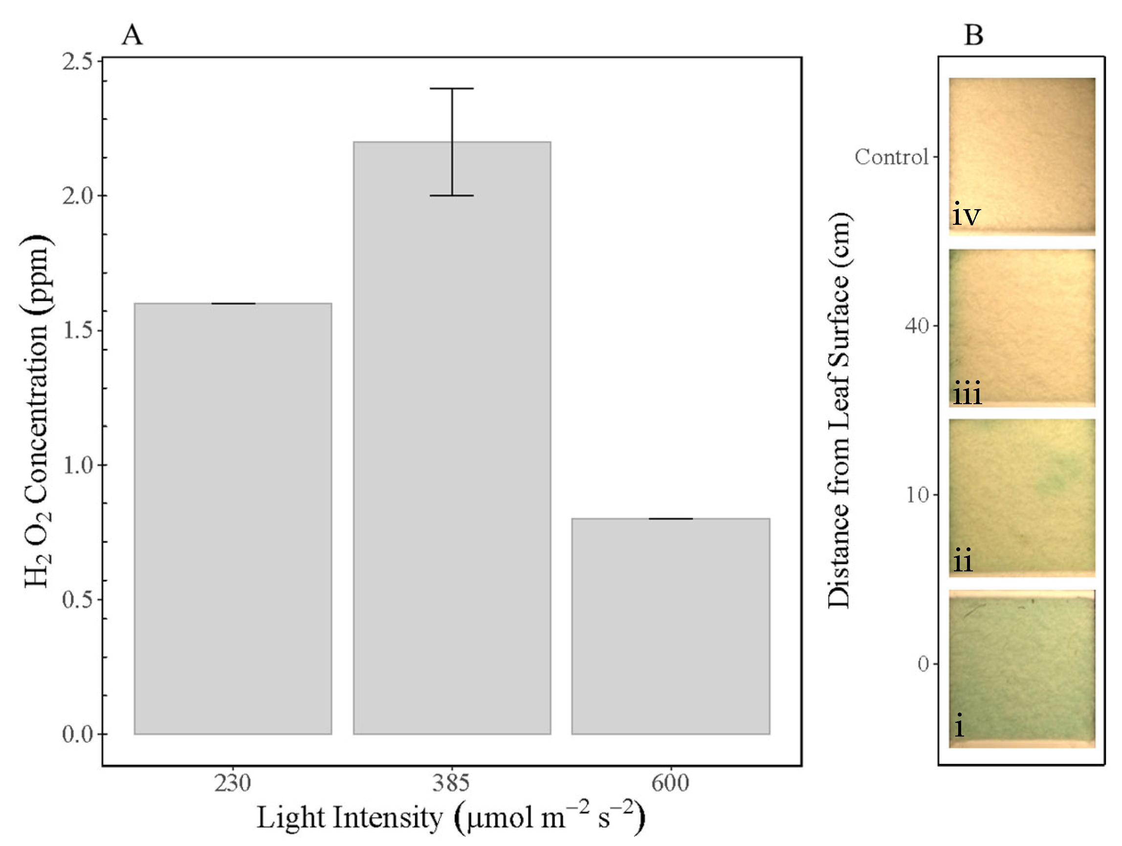 Bioengineering 12 01201 g002 Bioengineering 12 01201 g002