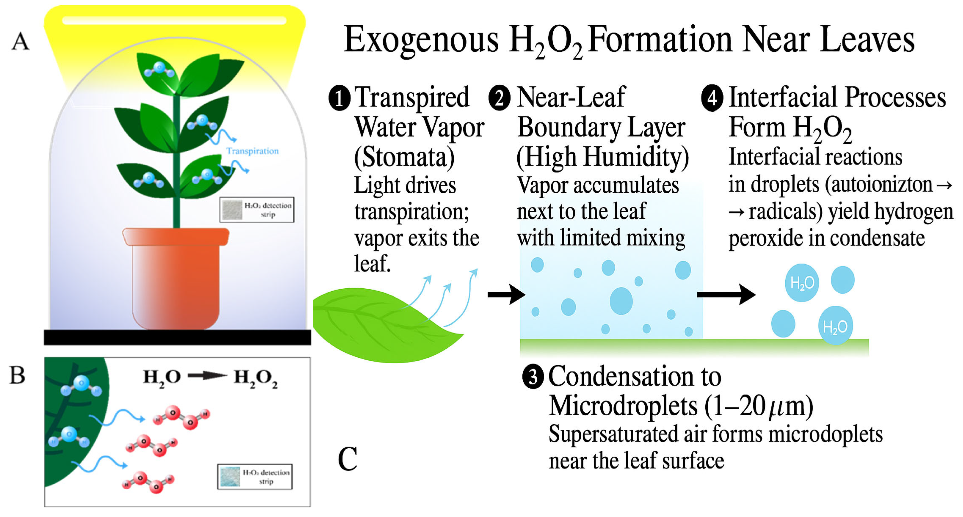 Bioengineering 12 01201 g003 Bioengineering 12 01201 g003