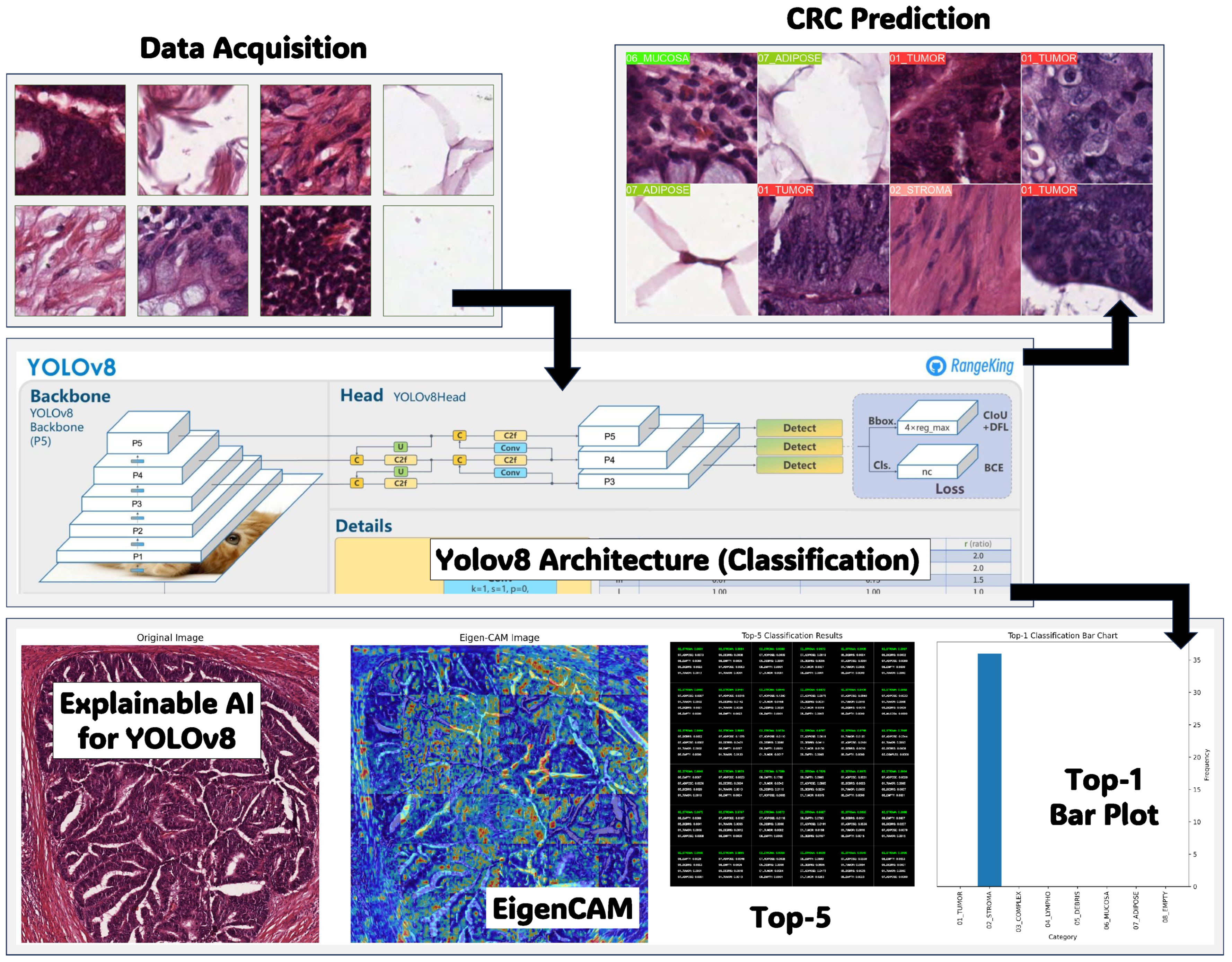 Bioengineering 12 01203 g001