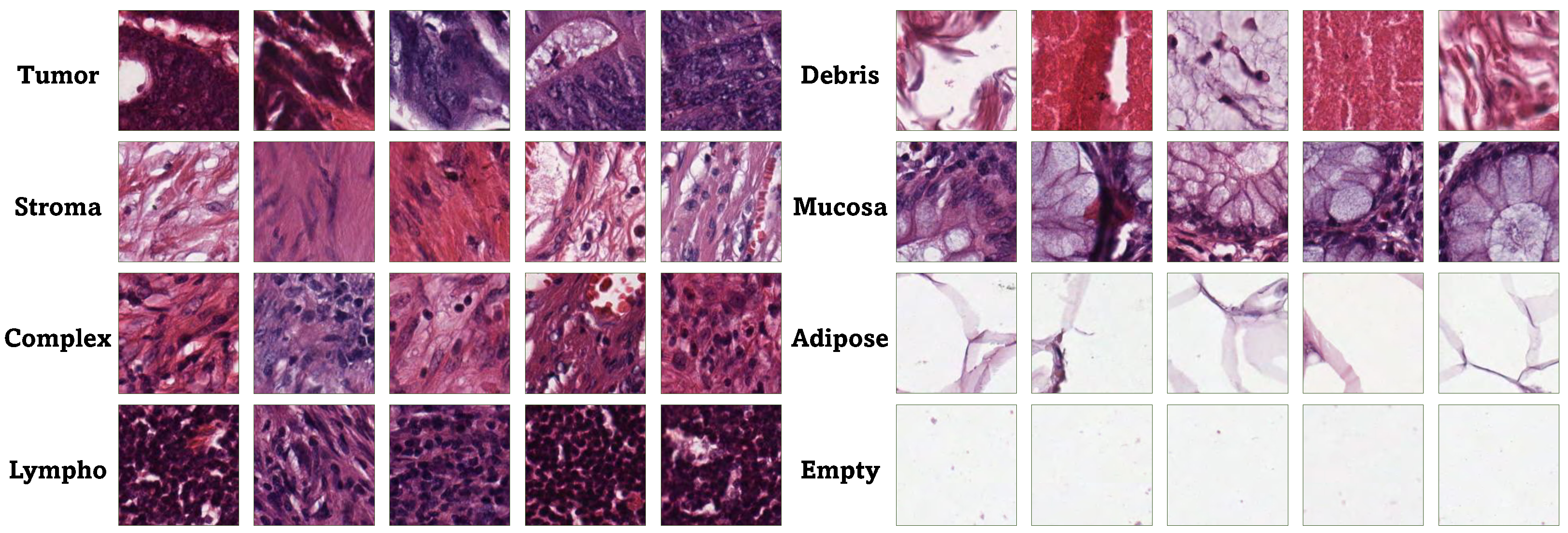 Bioengineering 12 01203 g002
