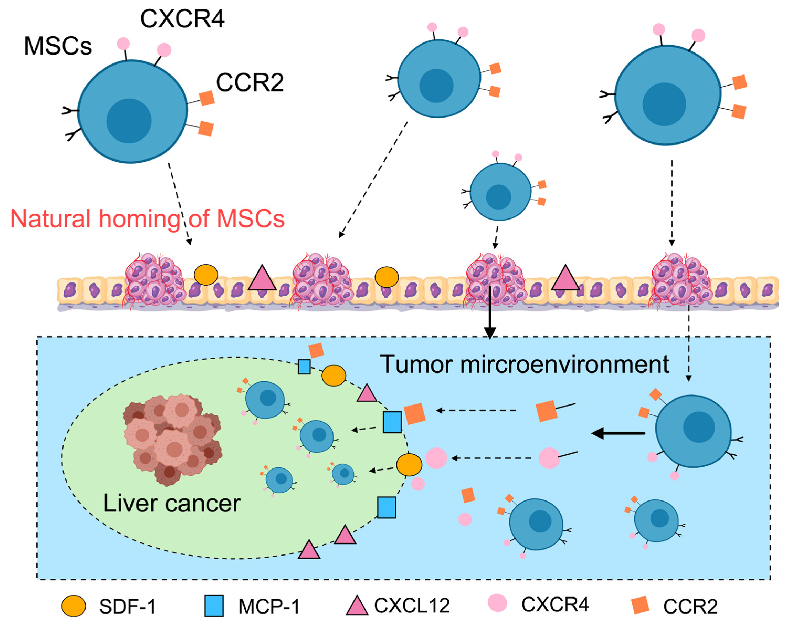 Bioengineering 12 01206 g002 Bioengineering 12 01206 g002