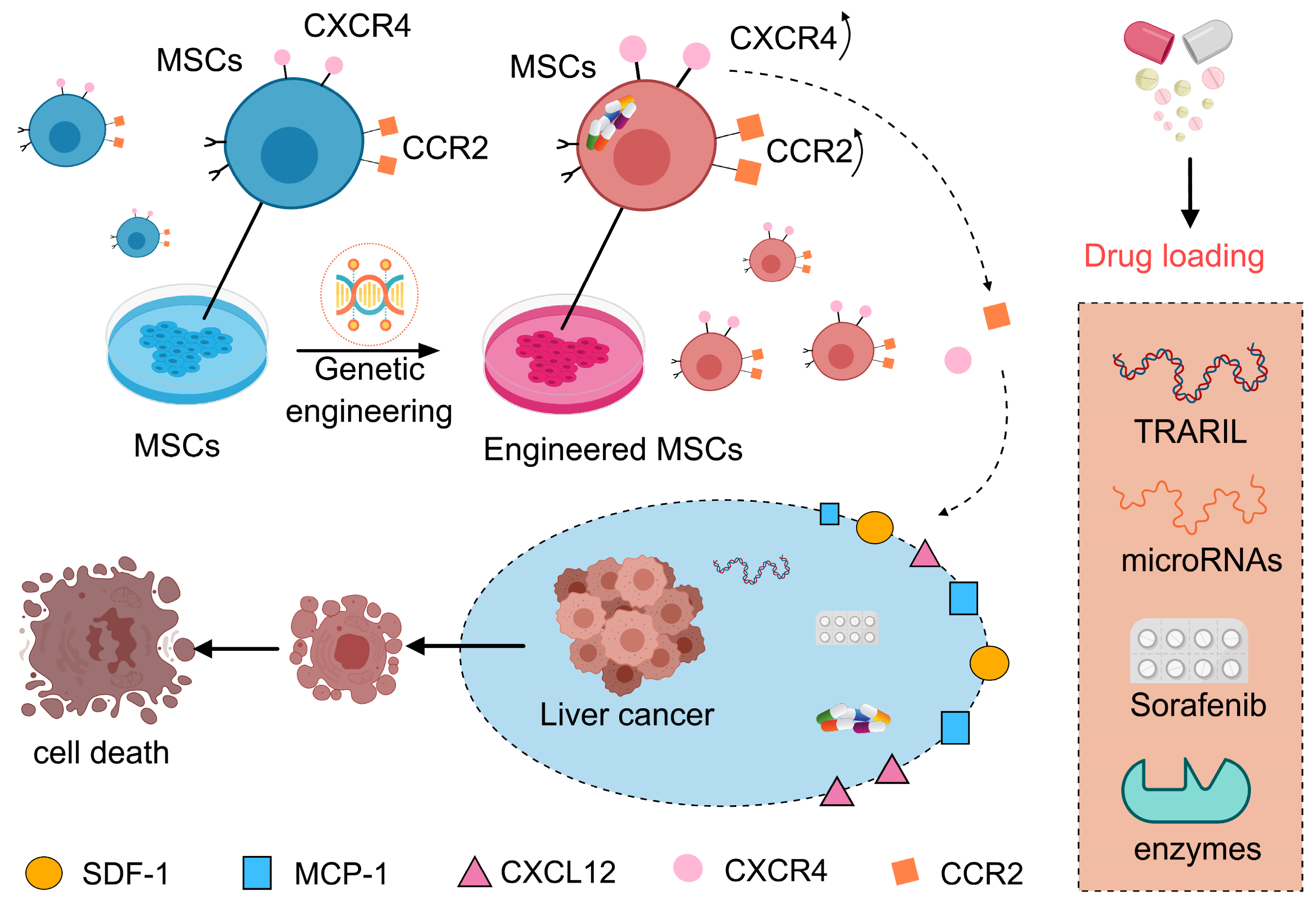 Bioengineering 12 01206 g004 Bioengineering 12 01206 g004
