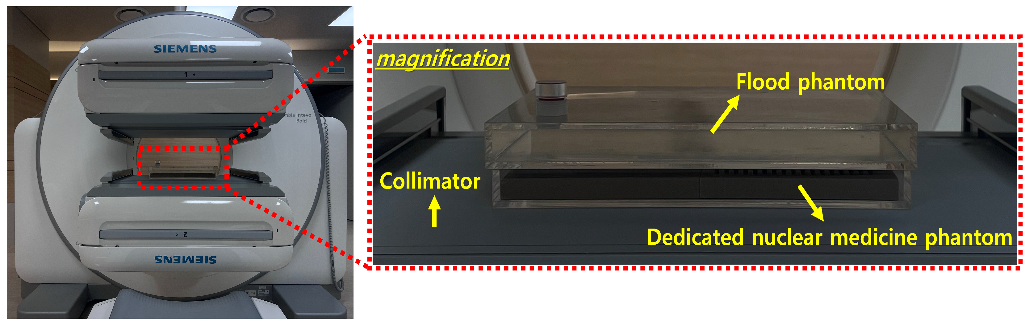 Bioengineering 12 01211 g002