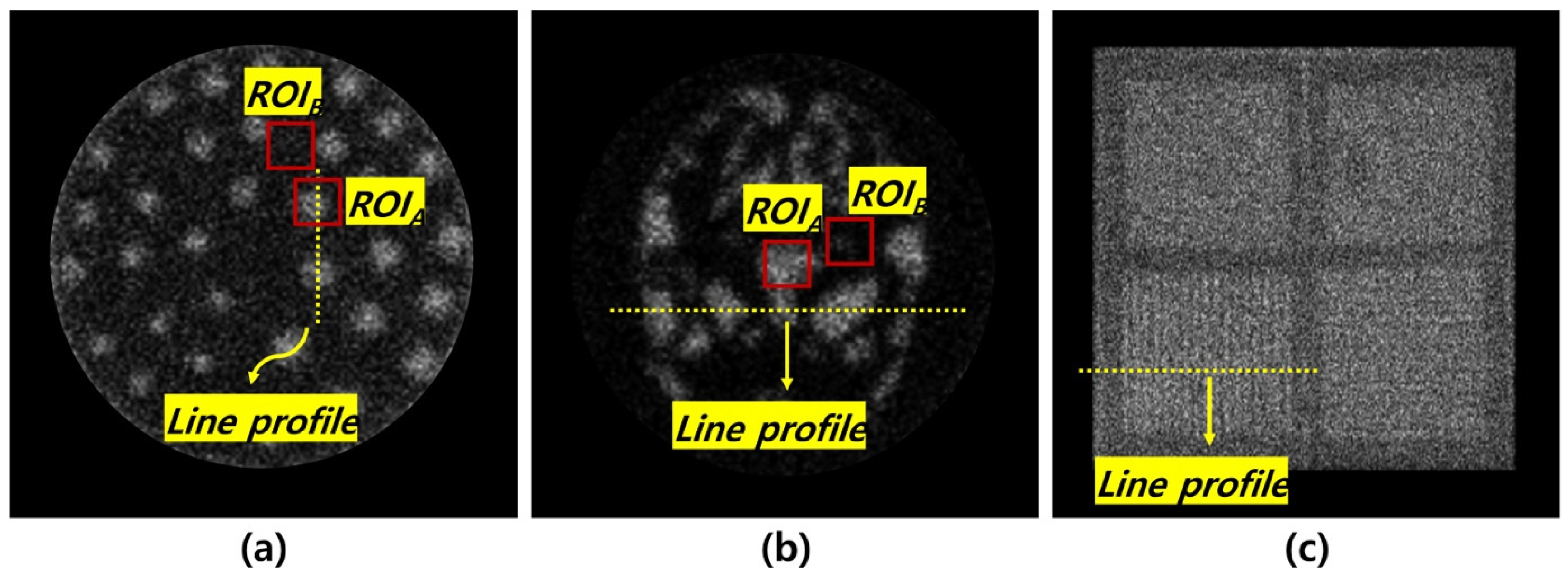 Bioengineering 12 01211 g003