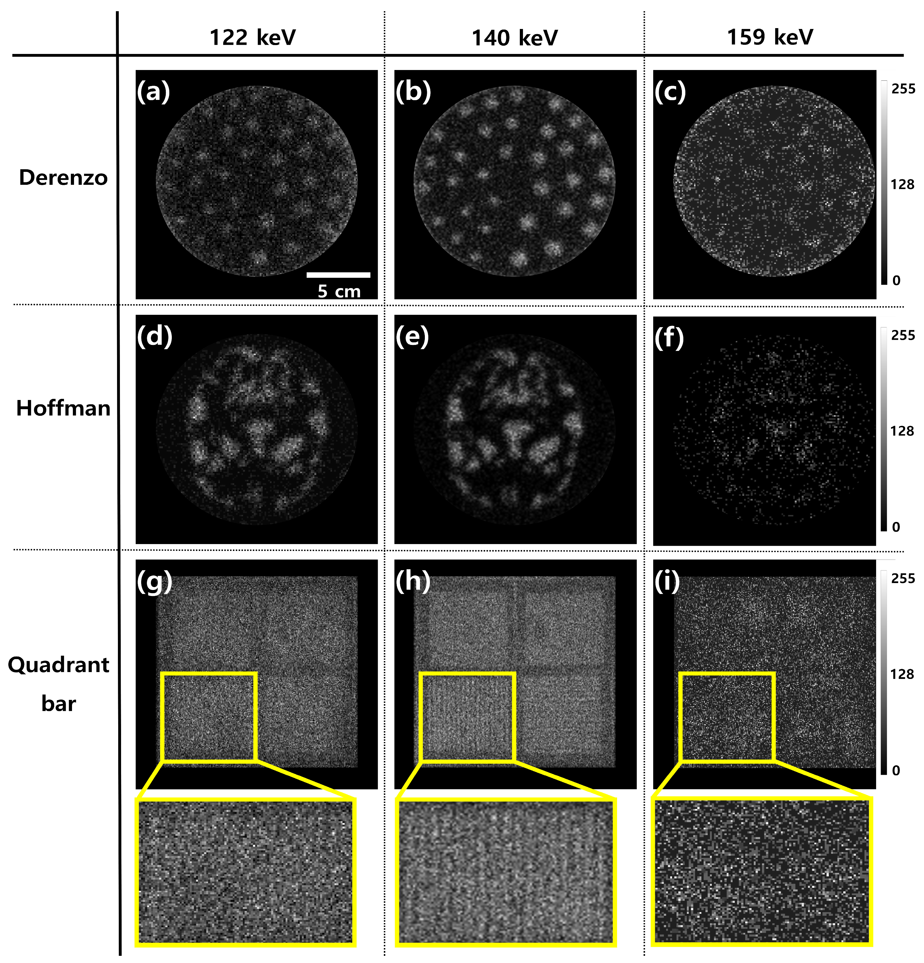 Bioengineering 12 01211 g004
