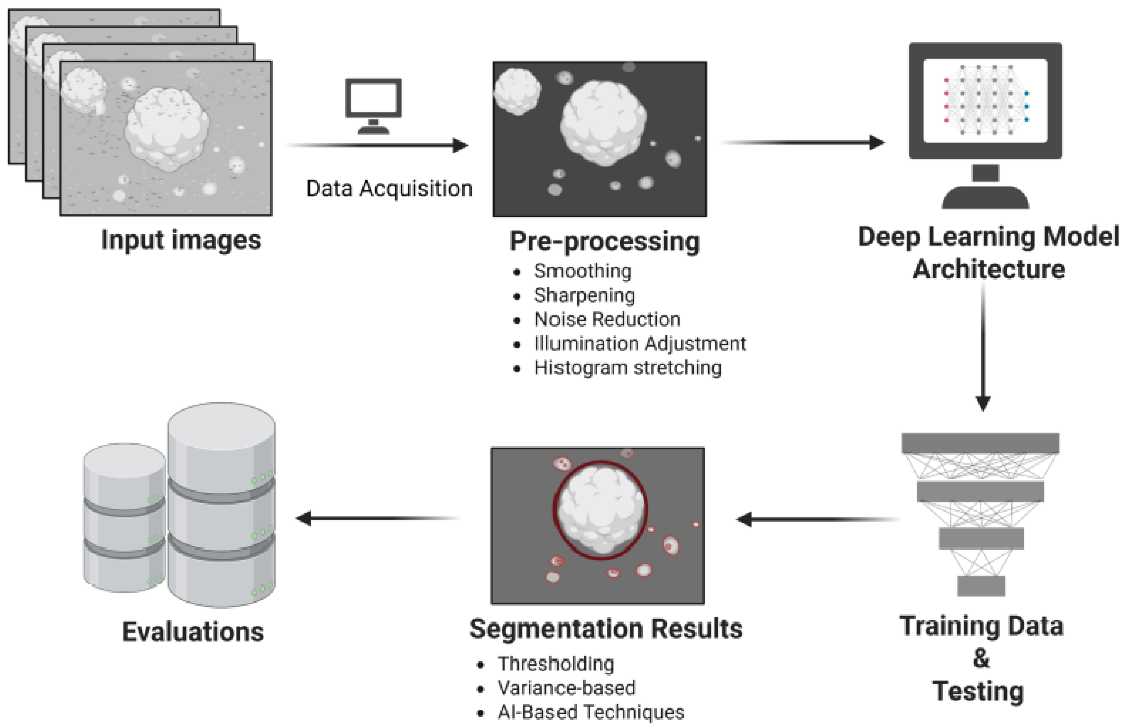 Bioengineering 12 01216 g001 Bioengineering 12 01216 g001