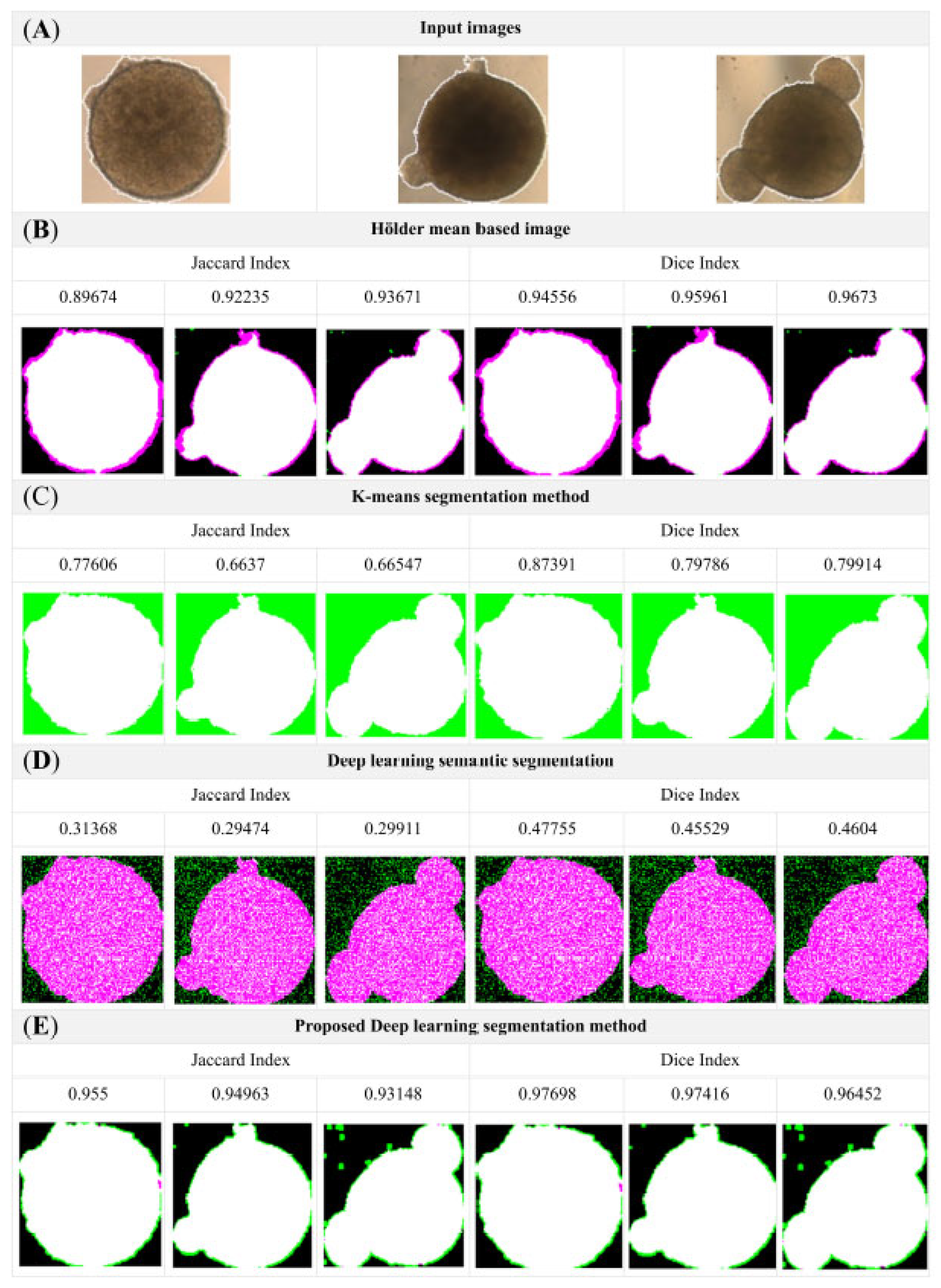 Bioengineering 12 01216 g006 Bioengineering 12 01216 g006