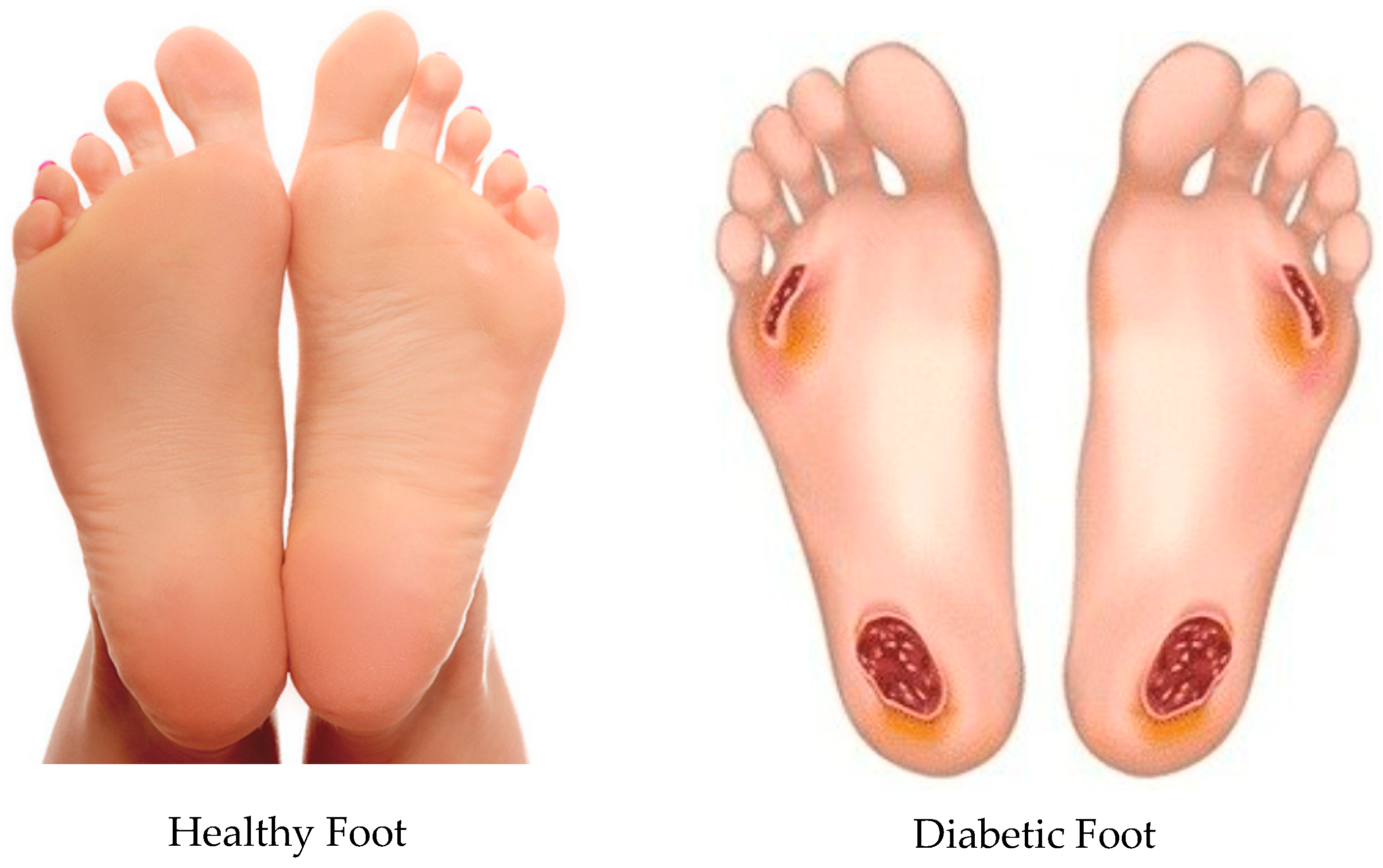 Bioengineering 12 01217 g001 Bioengineering 12 01217 g001