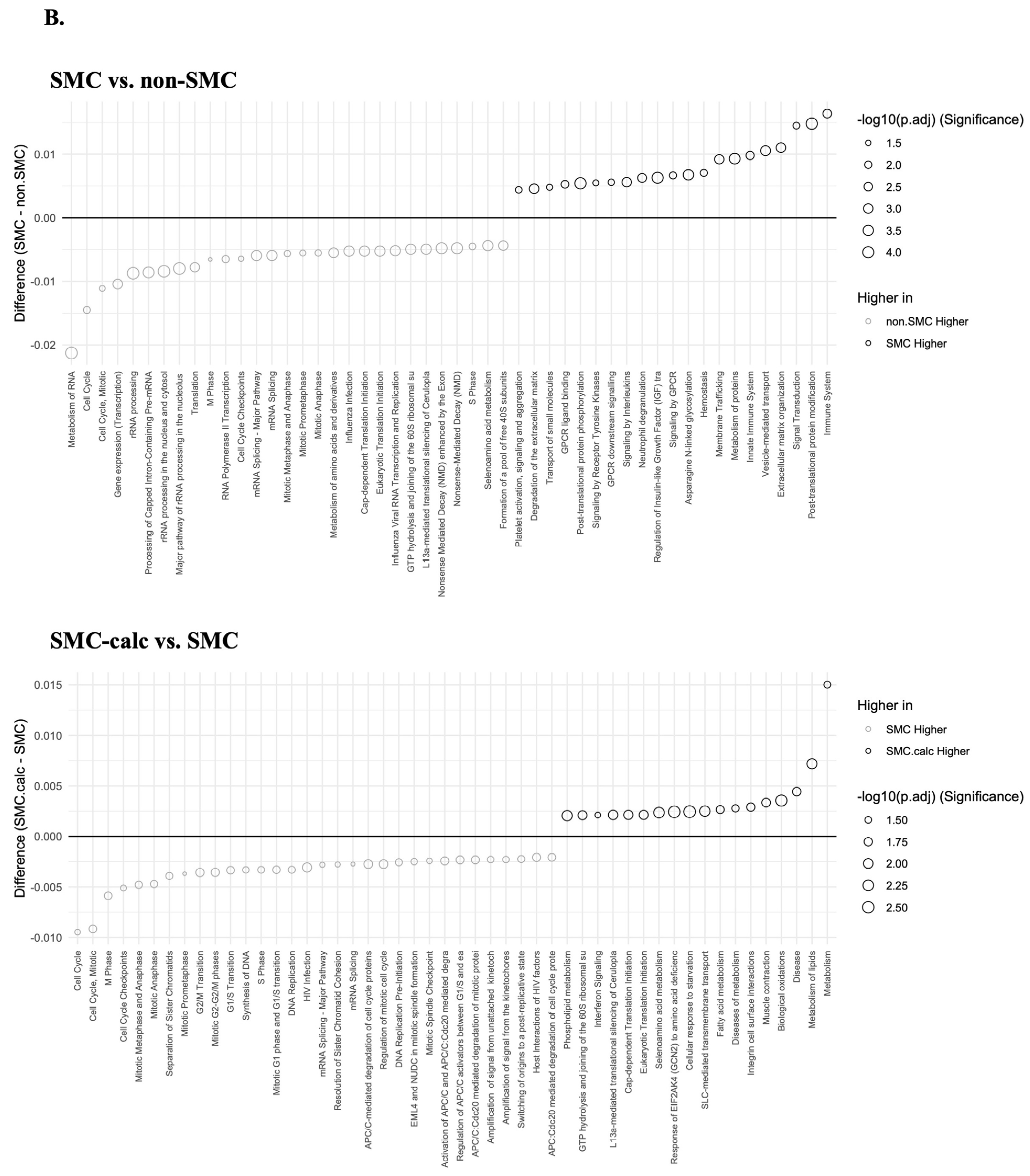 Bioengineering 12 01223 g004b Bioengineering 12 01223 g004b