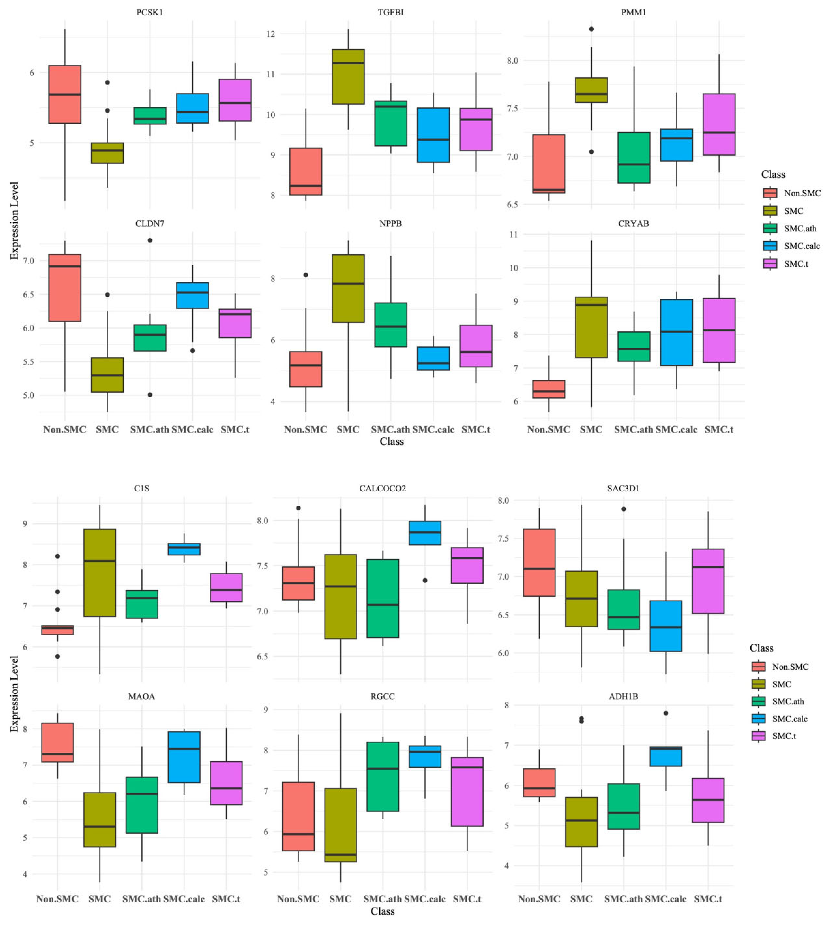 Bioengineering 12 01223 g005 Bioengineering 12 01223 g005