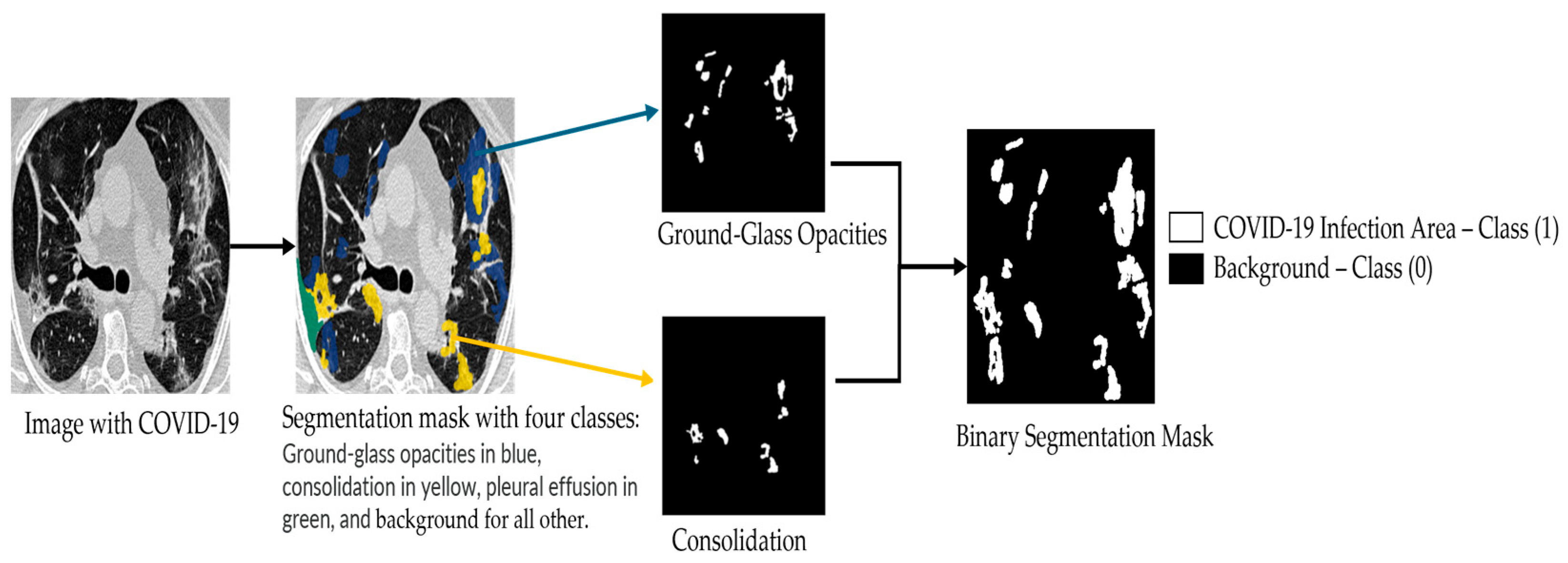 Bioengineering 12 01227 g002
