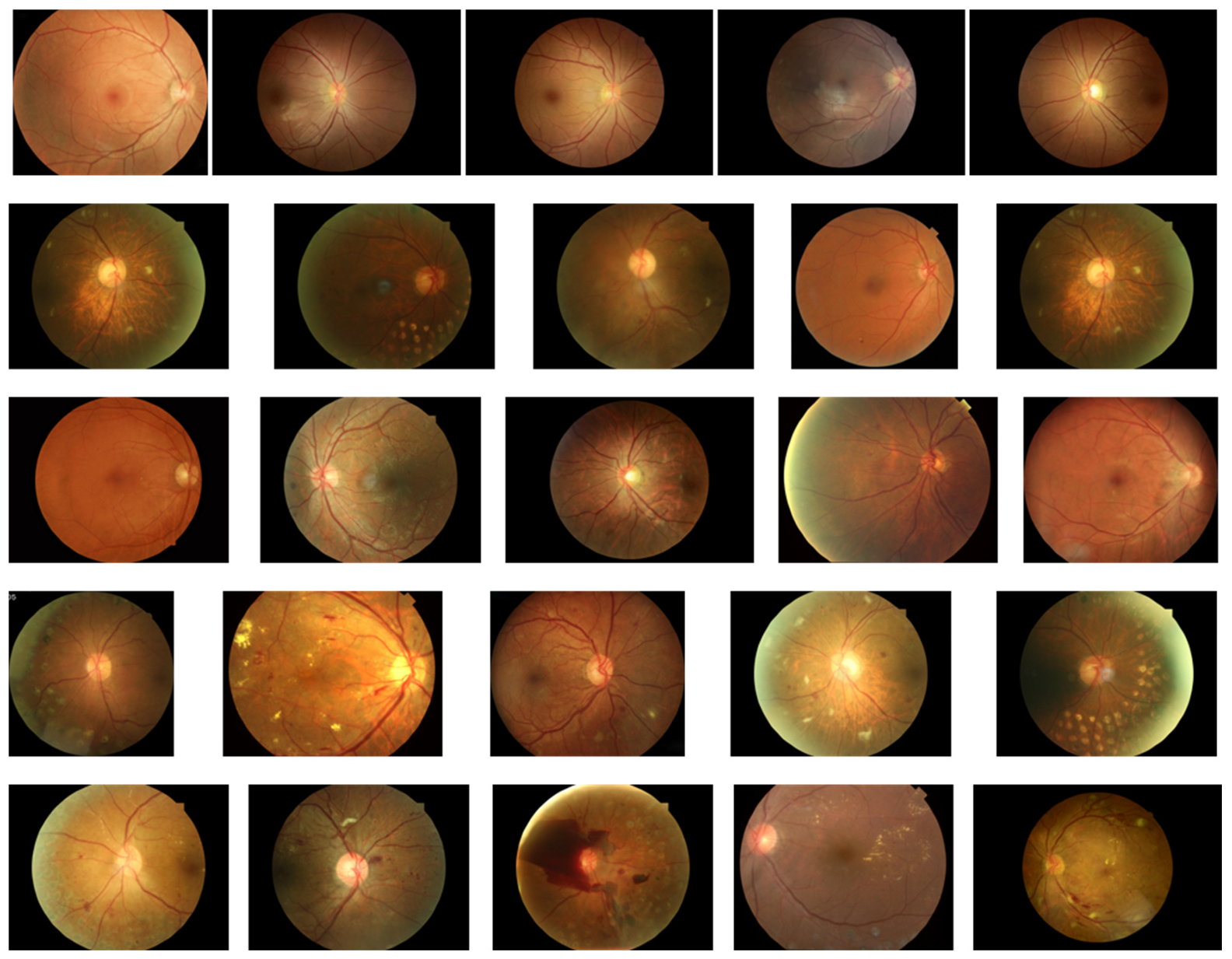 Bioengineering 12 01231 g003