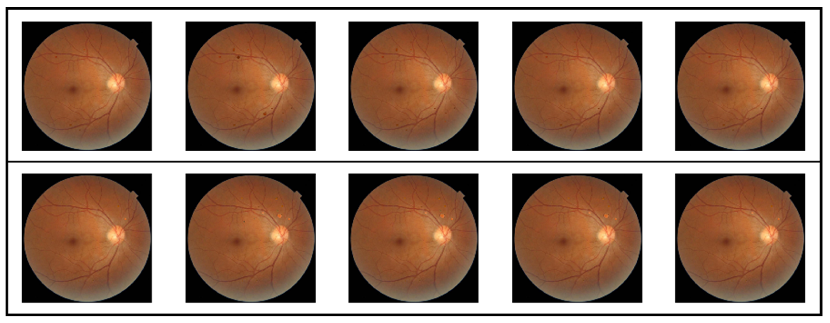 Bioengineering 12 01231 g005