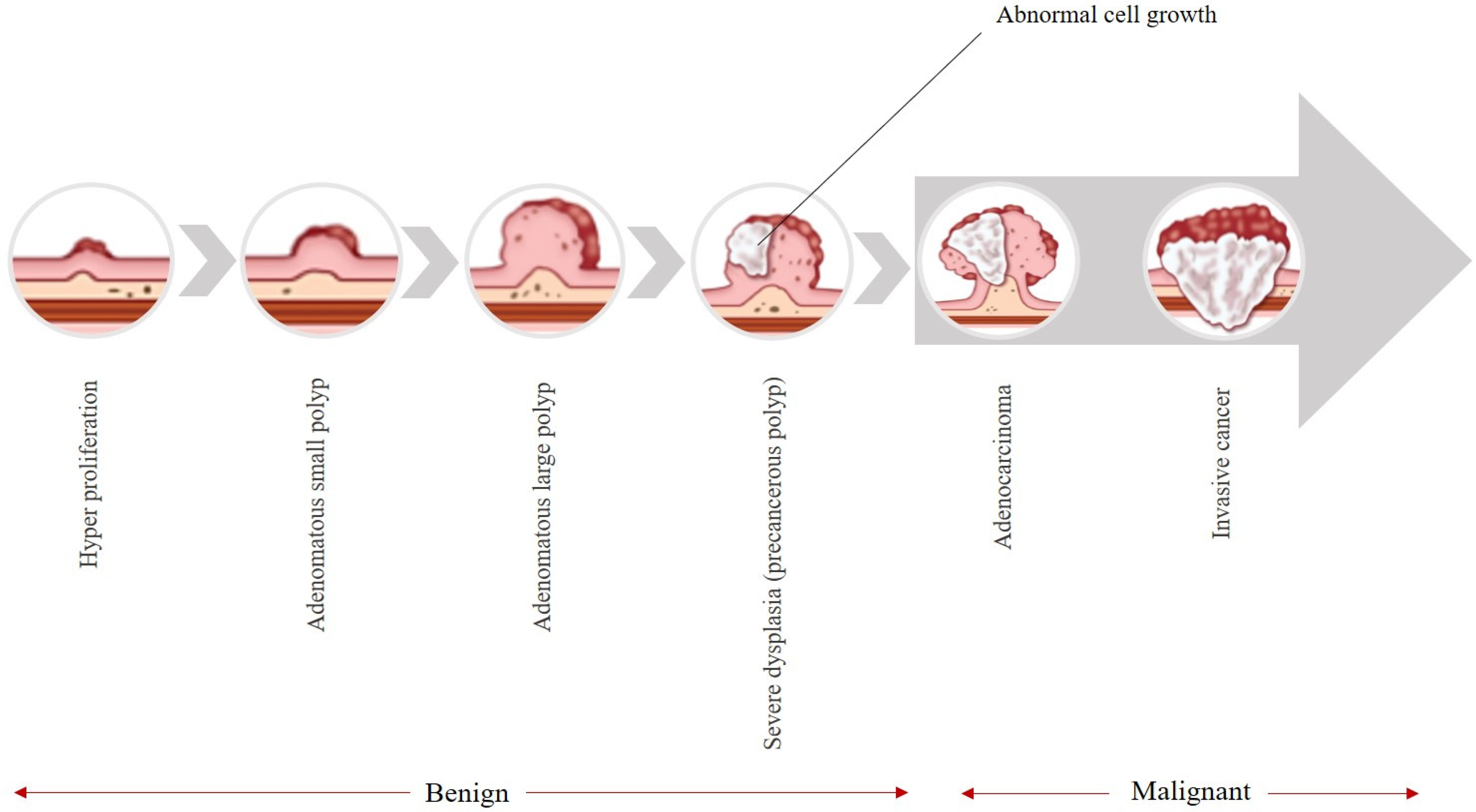 Bioengineering 12 01234 g001