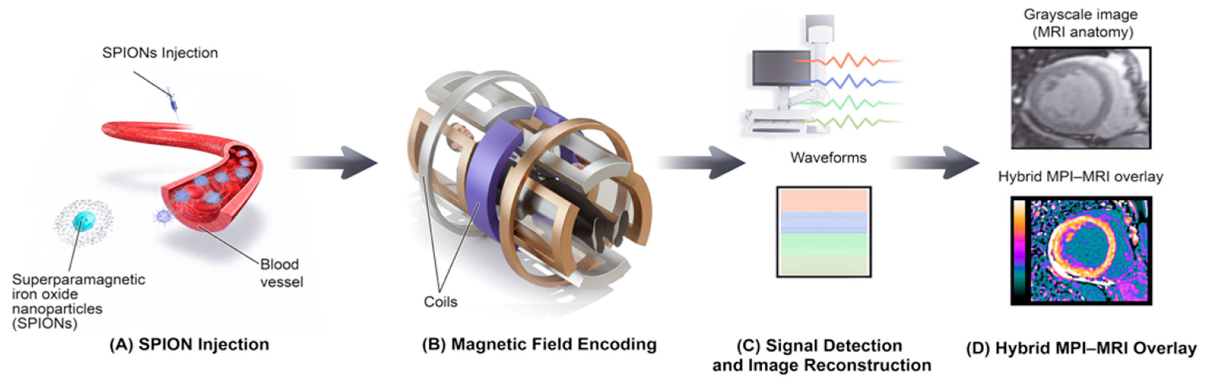 Bioengineering 12 01235 g004