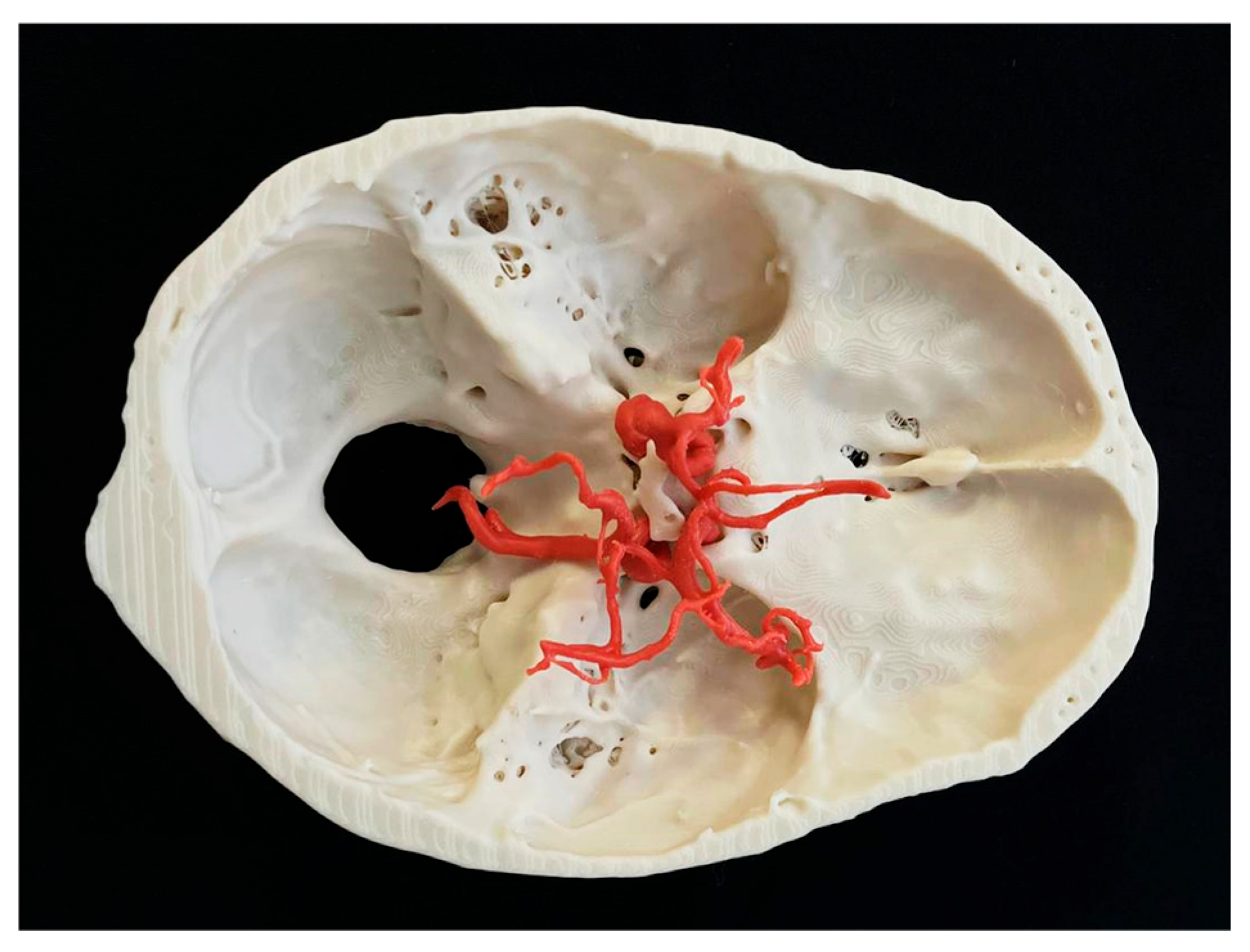 Bioengineering 12 01239 g001