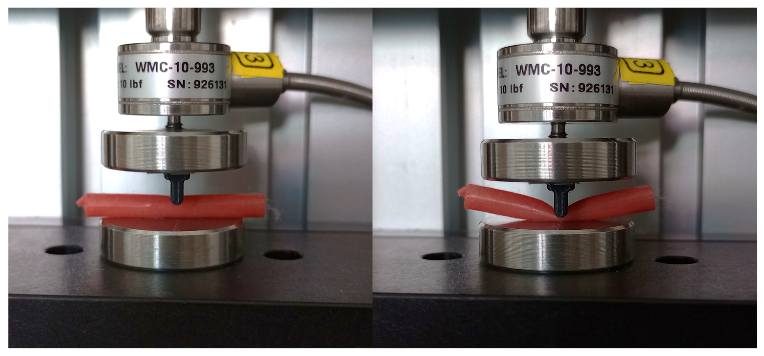 Bioengineering 12 01239 g003