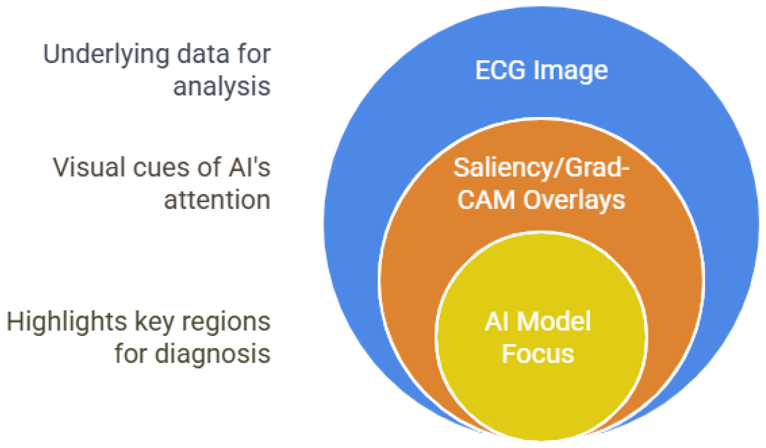 Bioengineering 12 01248 g006