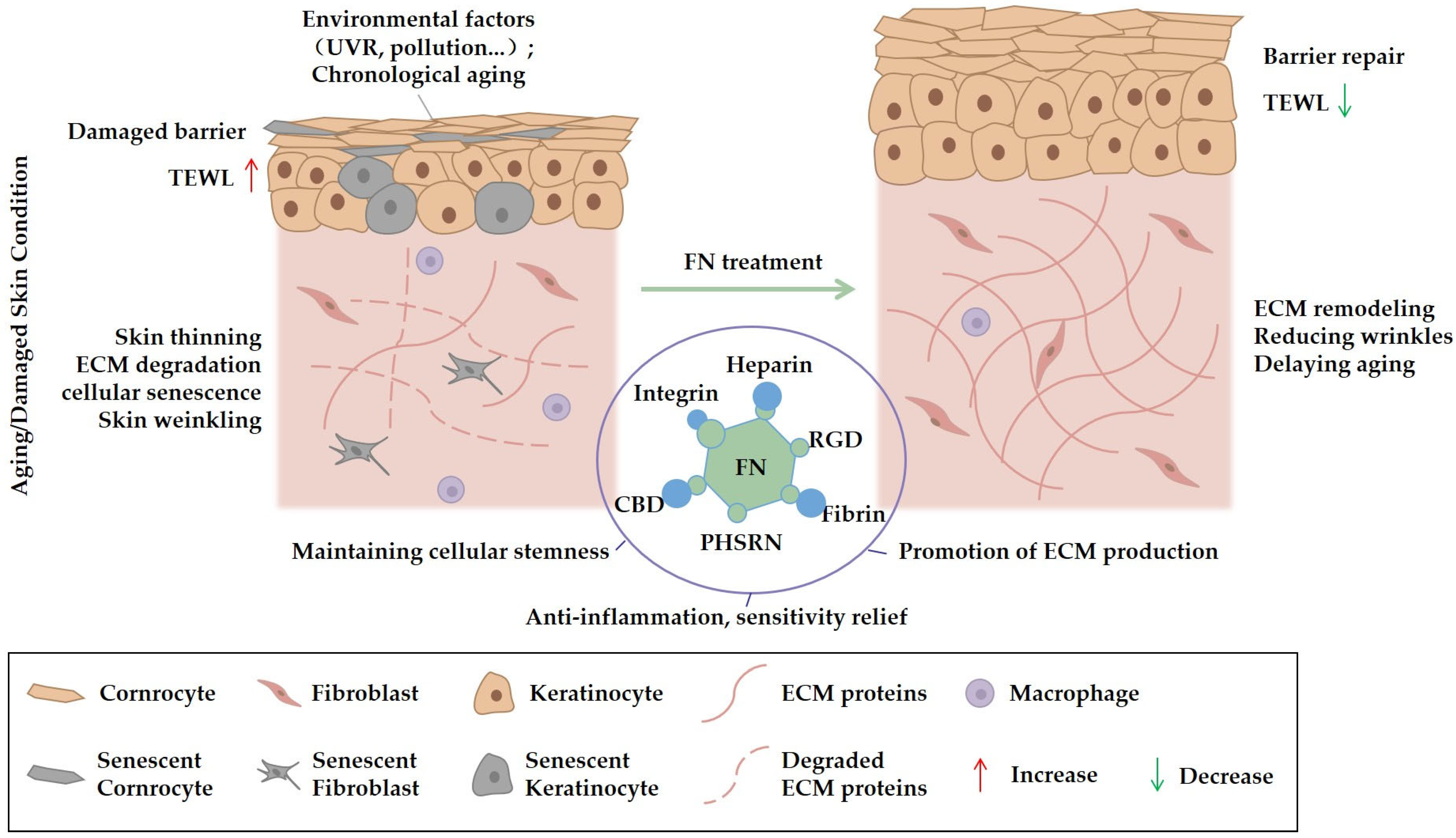Bioengineering 12 01249 g002 Bioengineering 12 01249 g002