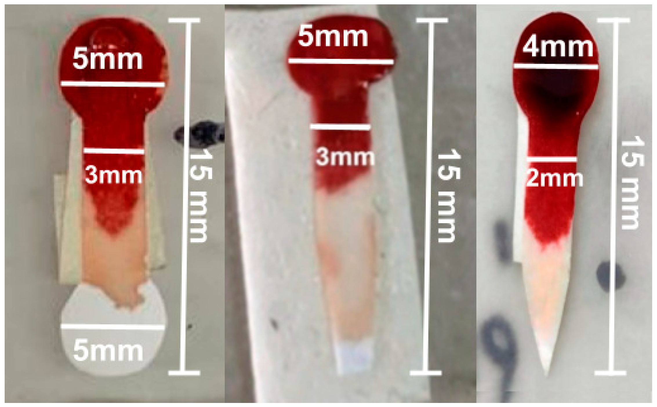 Bioengineering 12 01250 g002