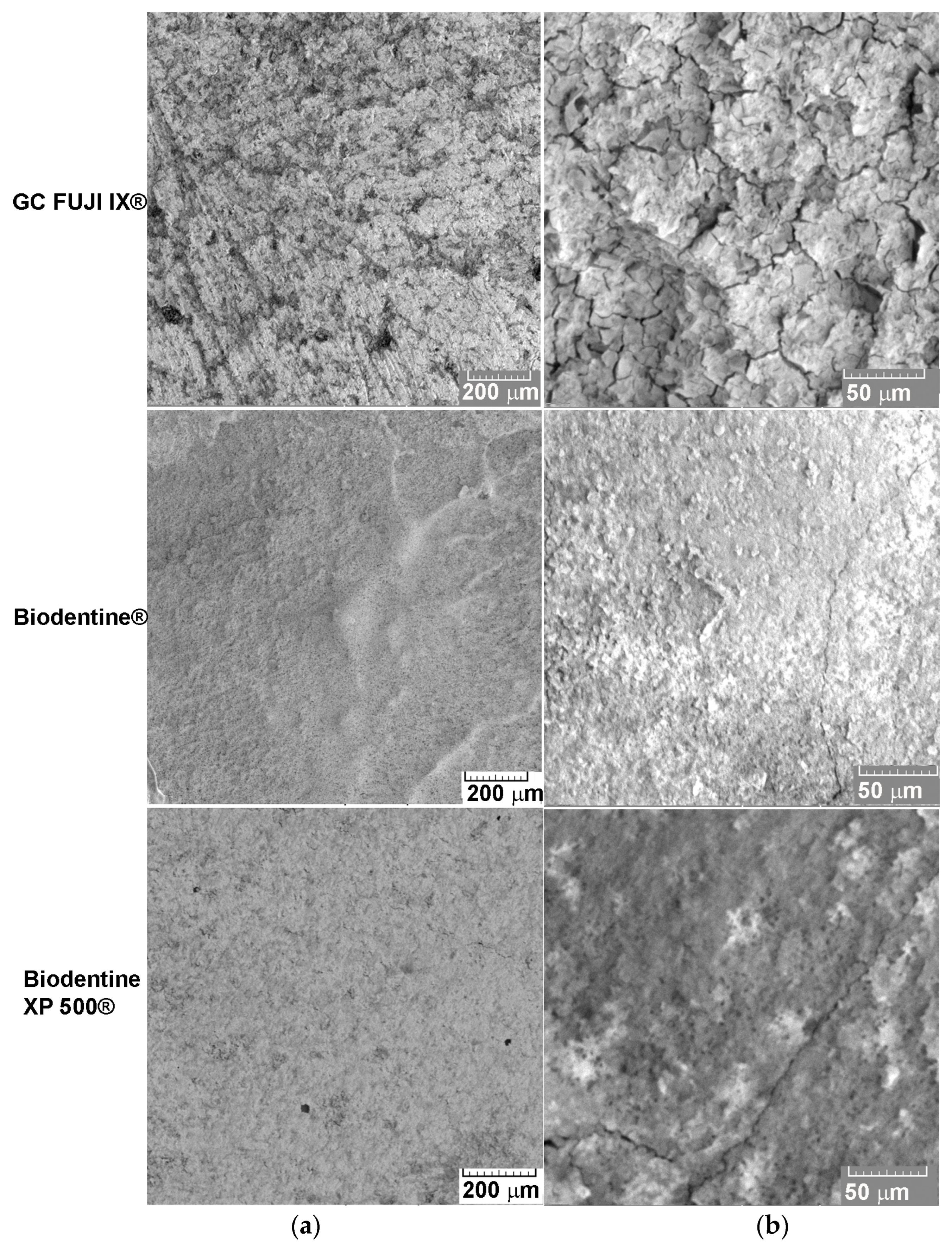 Bioengineering 12 01261 g004