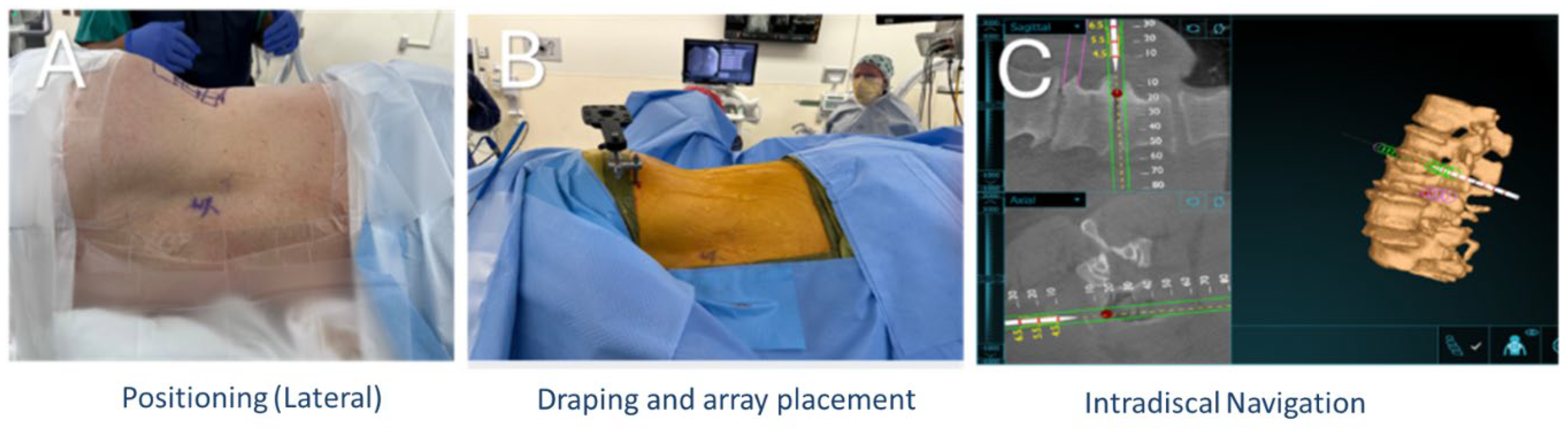 Bioengineering 12 01262 g001