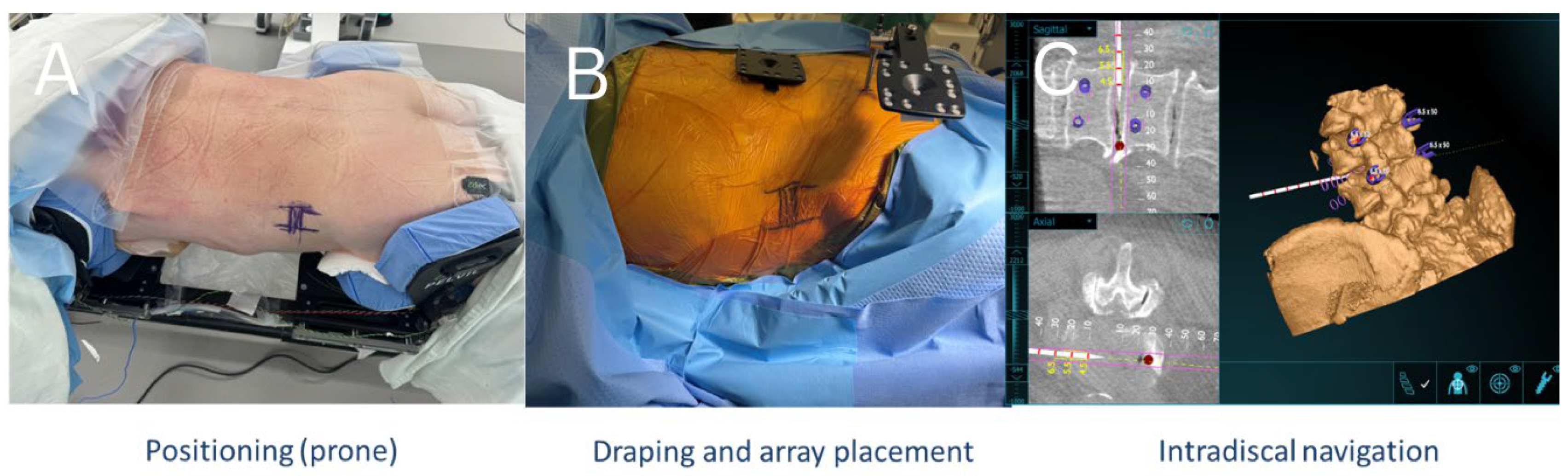 Bioengineering 12 01262 g002