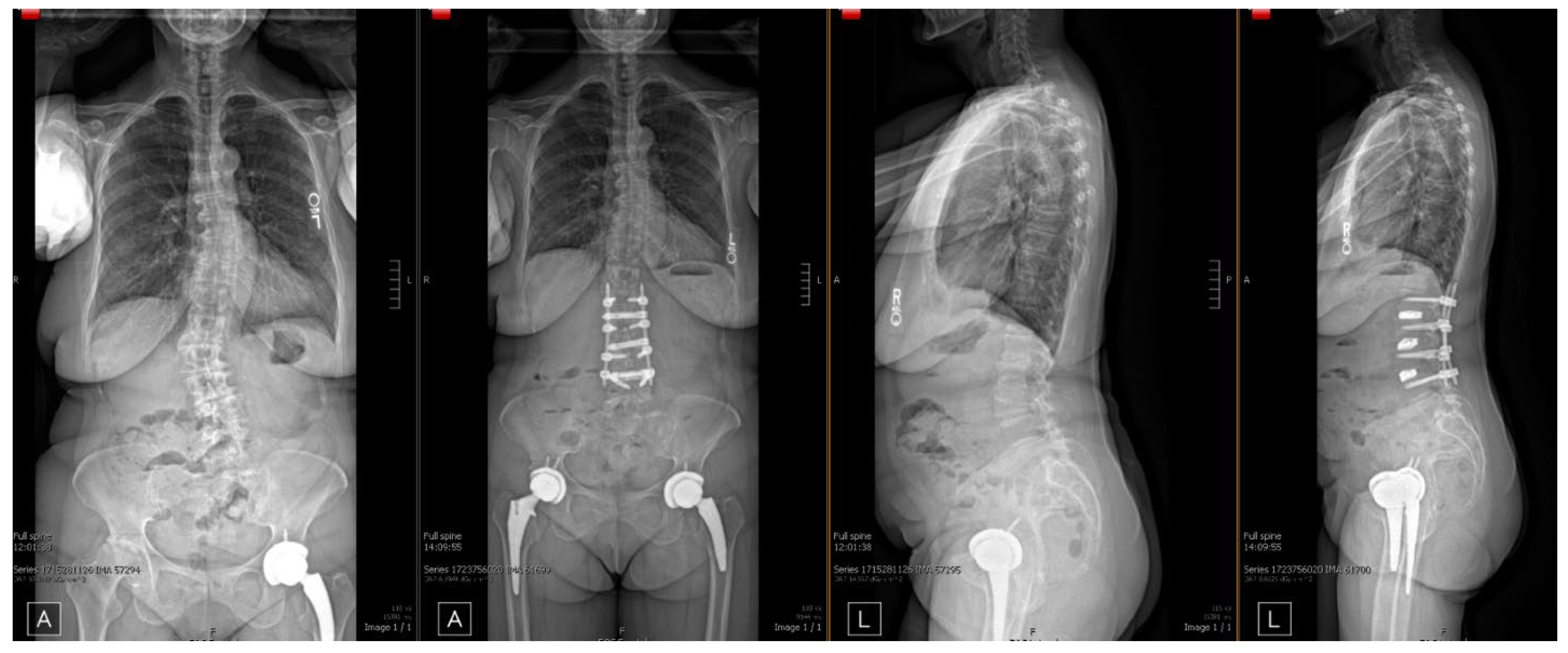 Bioengineering 12 01262 g005