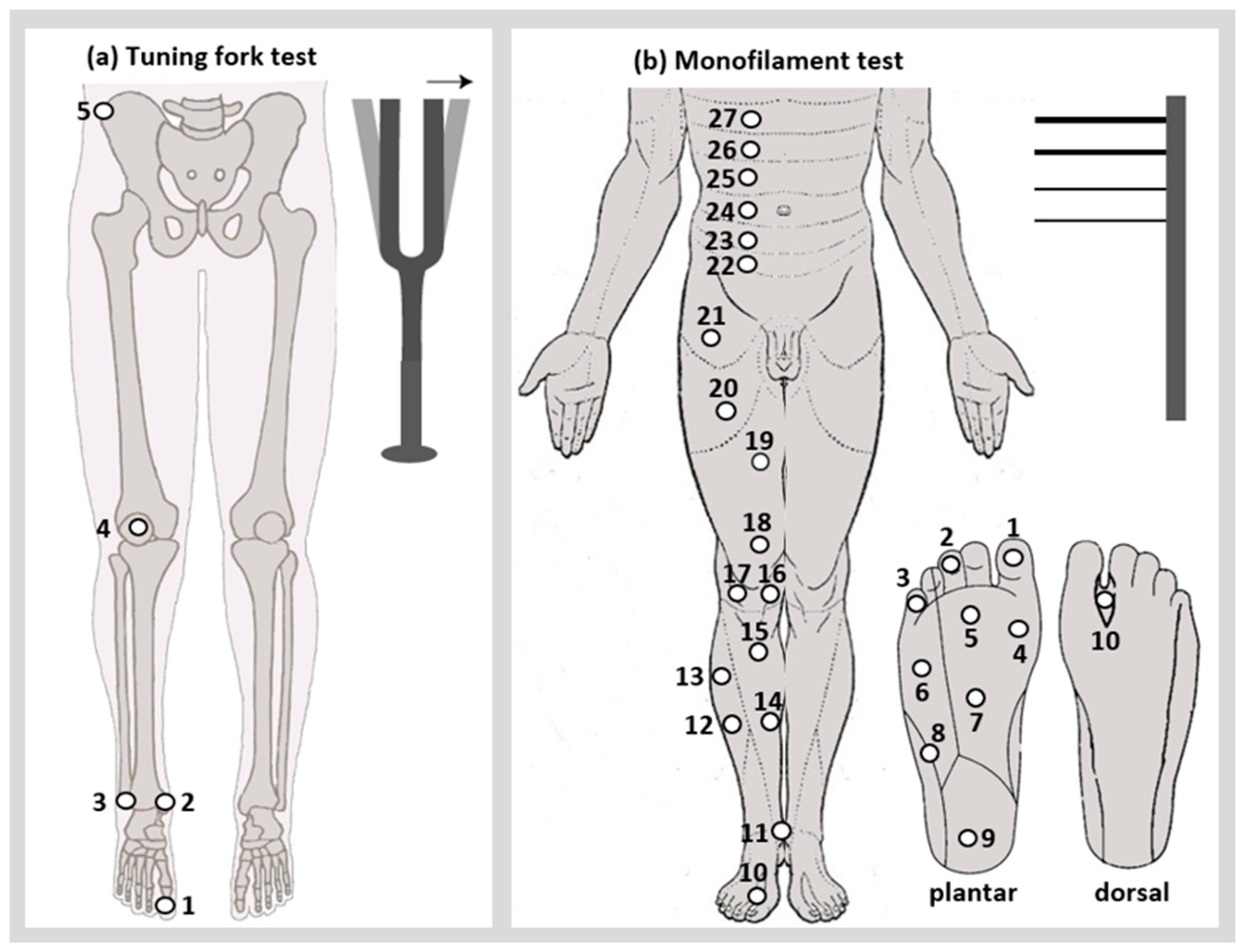 Bioengineering 12 01265 g001 Bioengineering 12 01265 g001