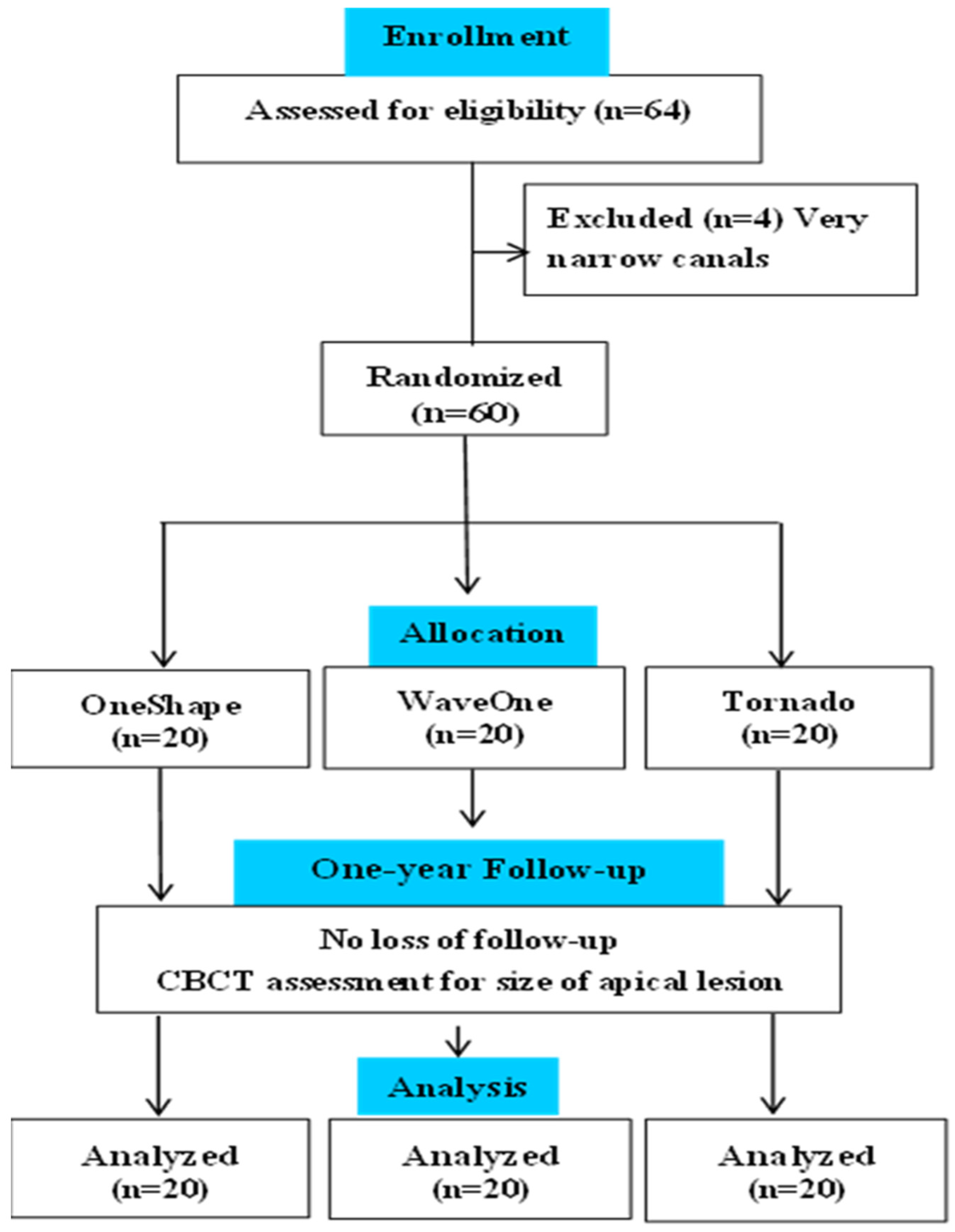 Bioengineering 12 01267 g001