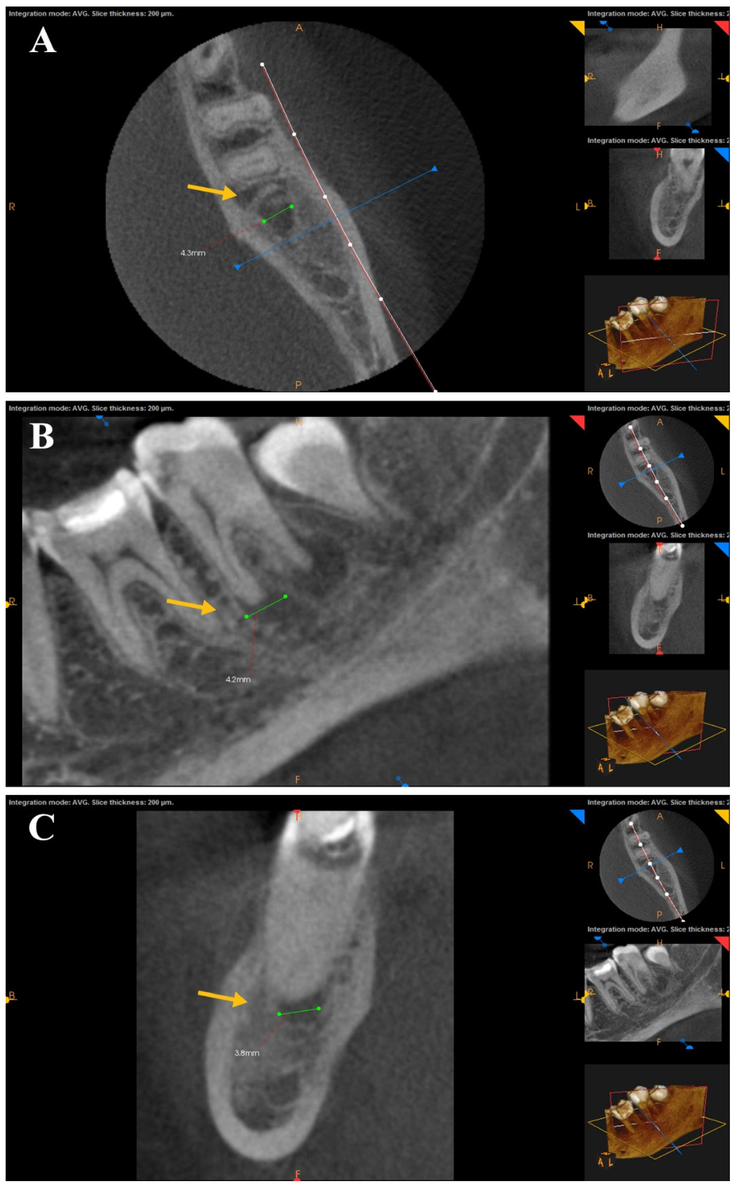 Bioengineering 12 01267 g002