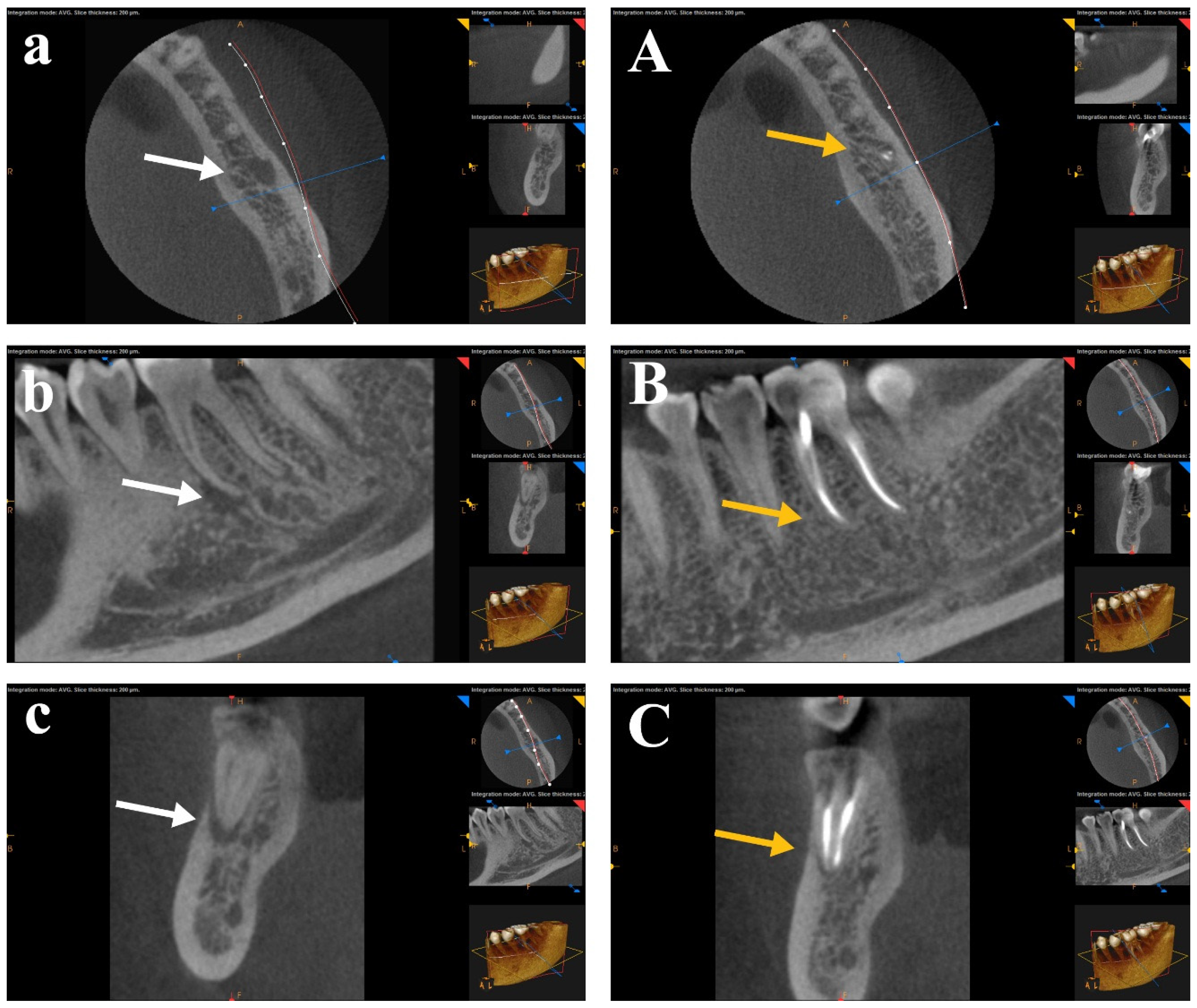 Bioengineering 12 01267 g003