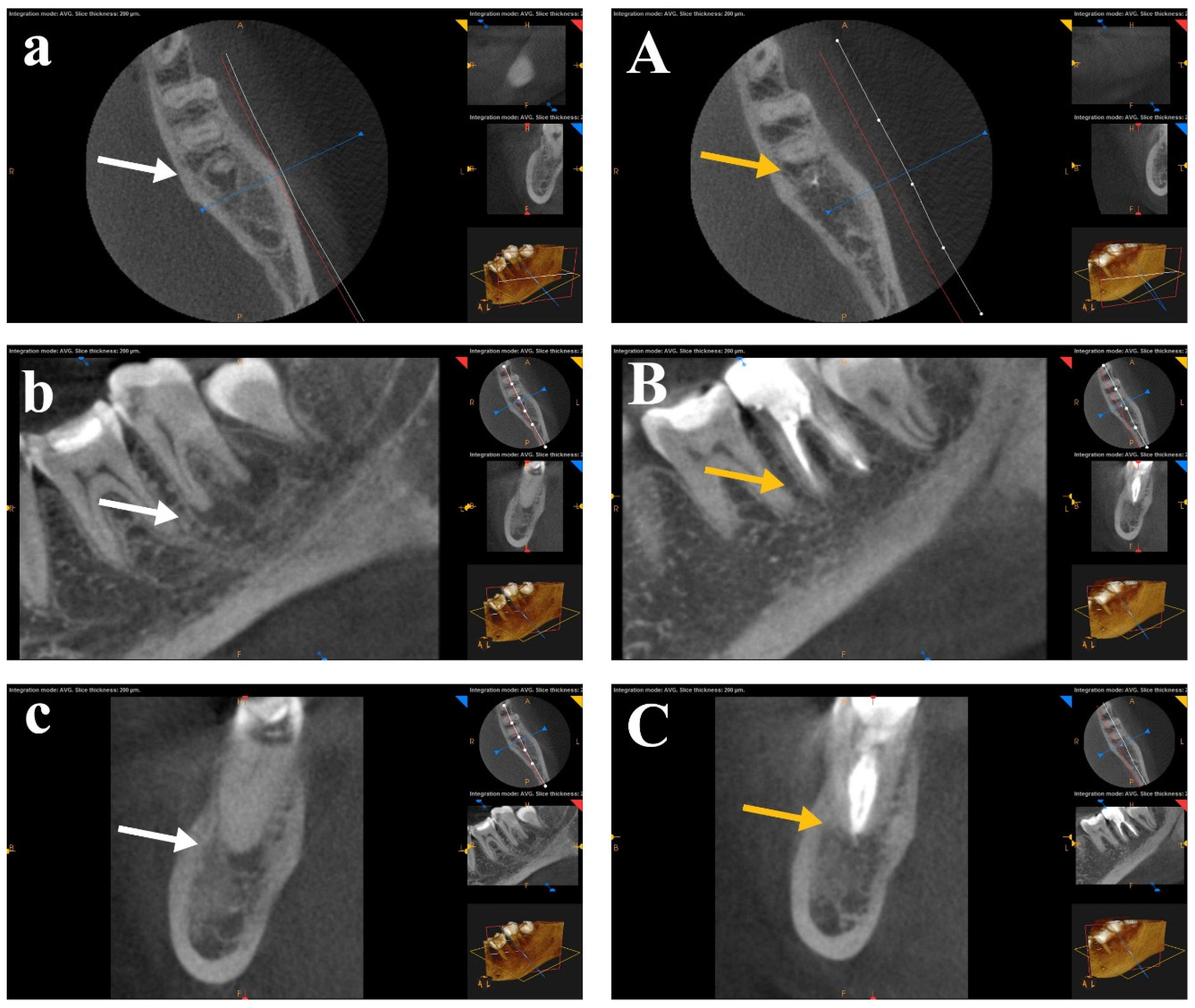 Bioengineering 12 01267 g004