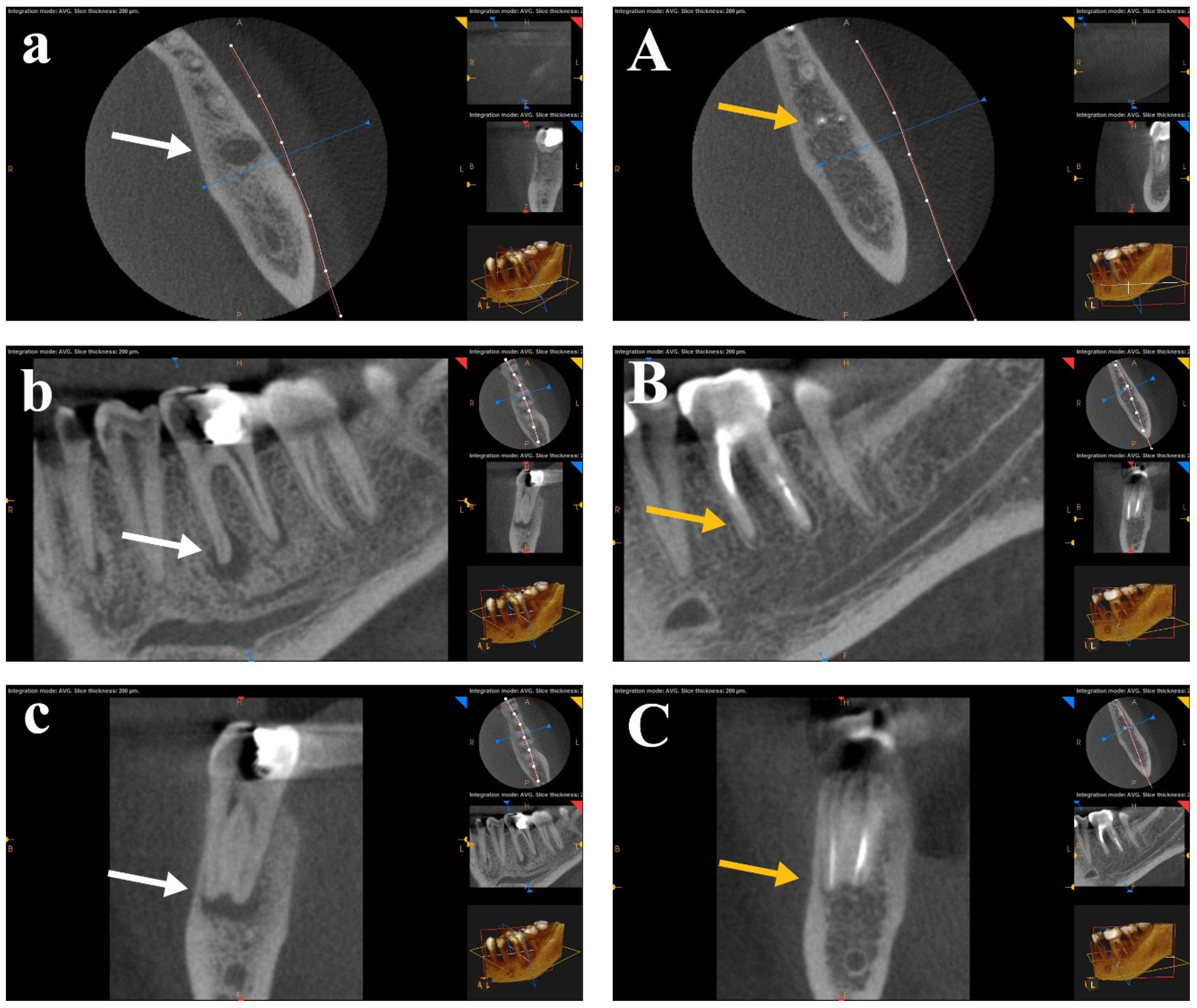 Bioengineering 12 01267 g005