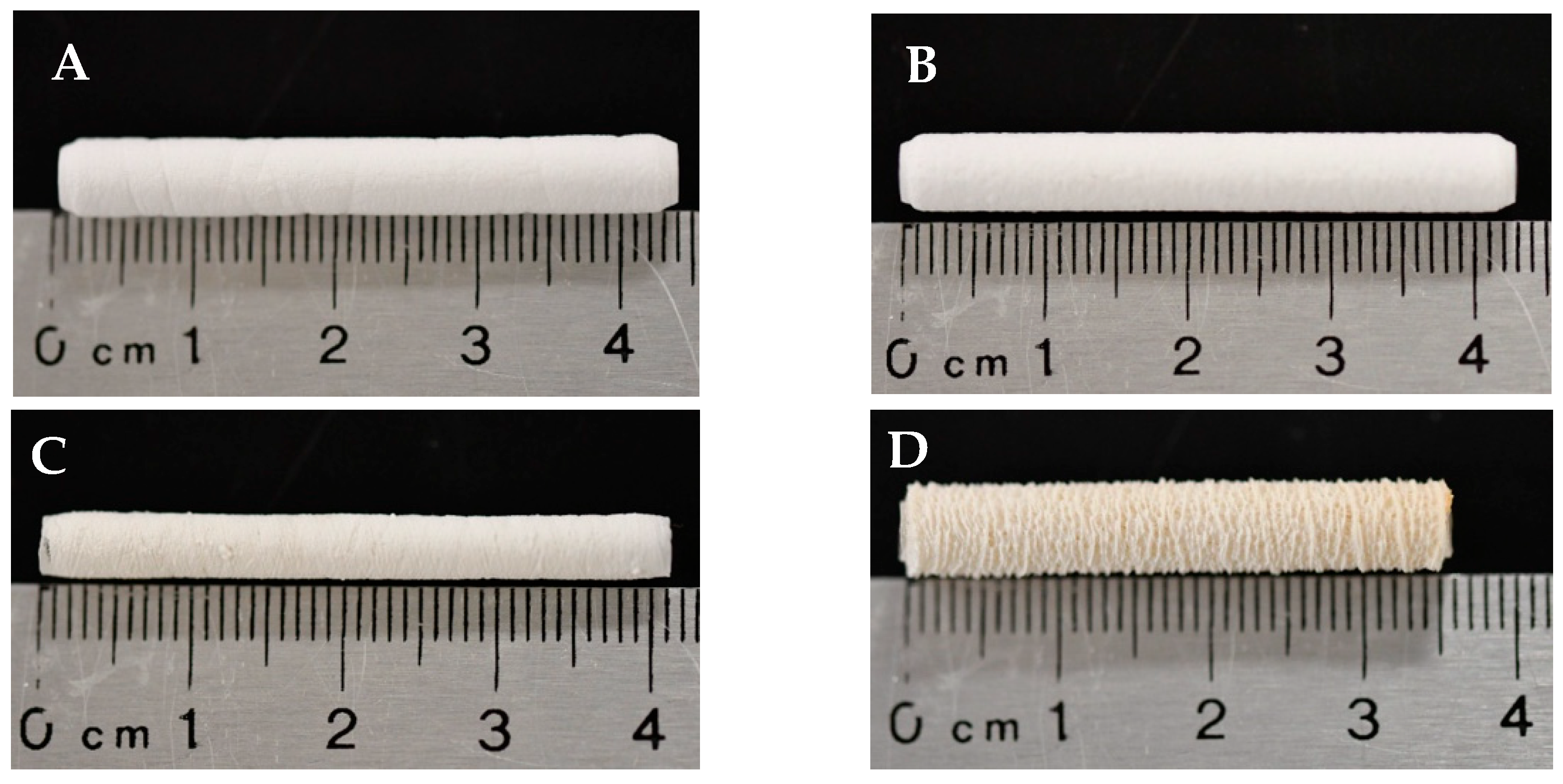 Bioengineering 12 01270 g001