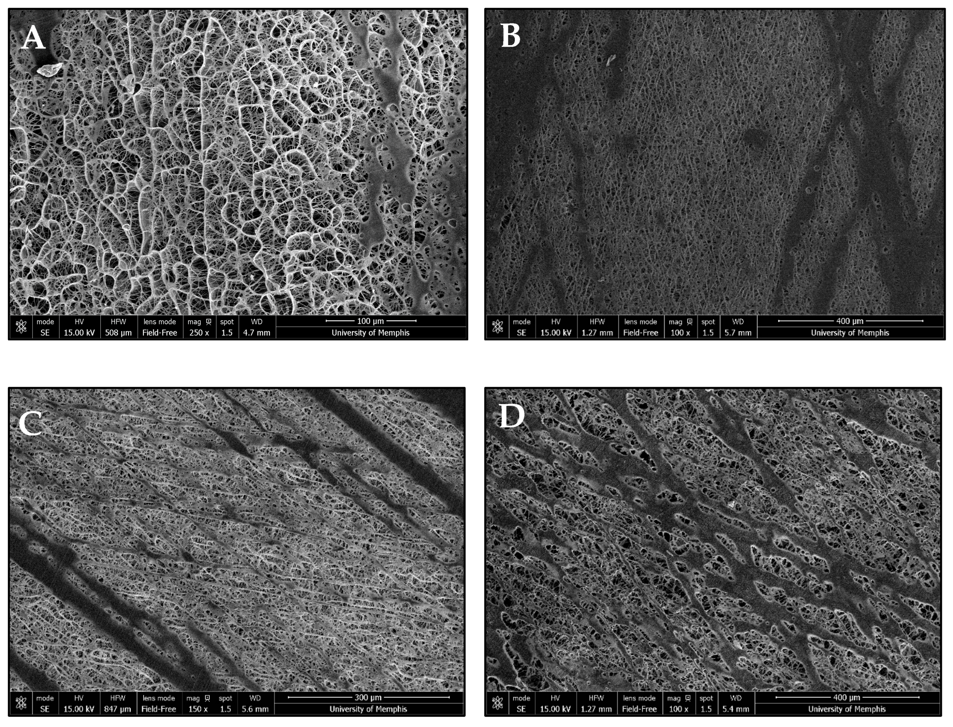 Bioengineering 12 01270 g003