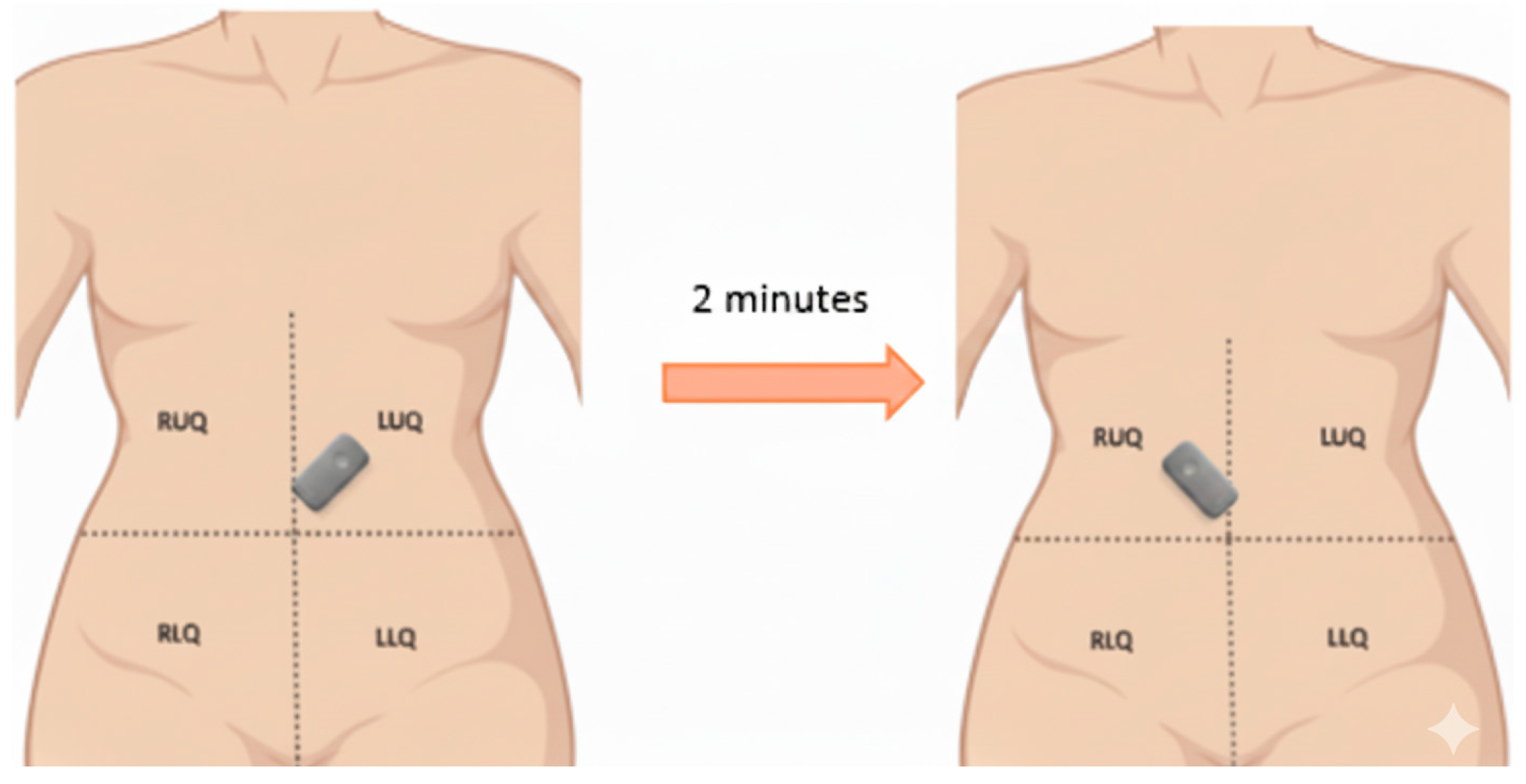 Bioengineering 12 01271 g001