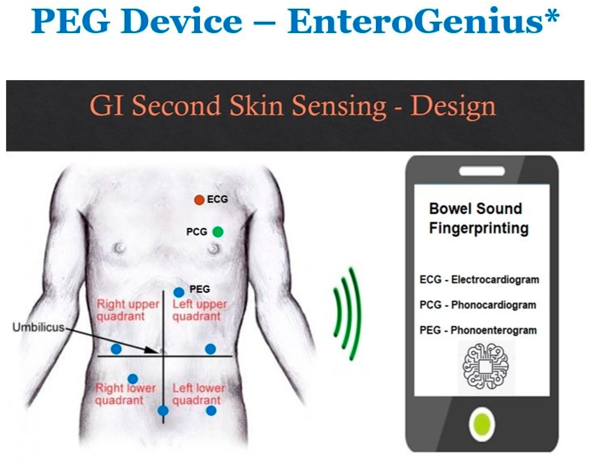 Bioengineering 12 01271 g004