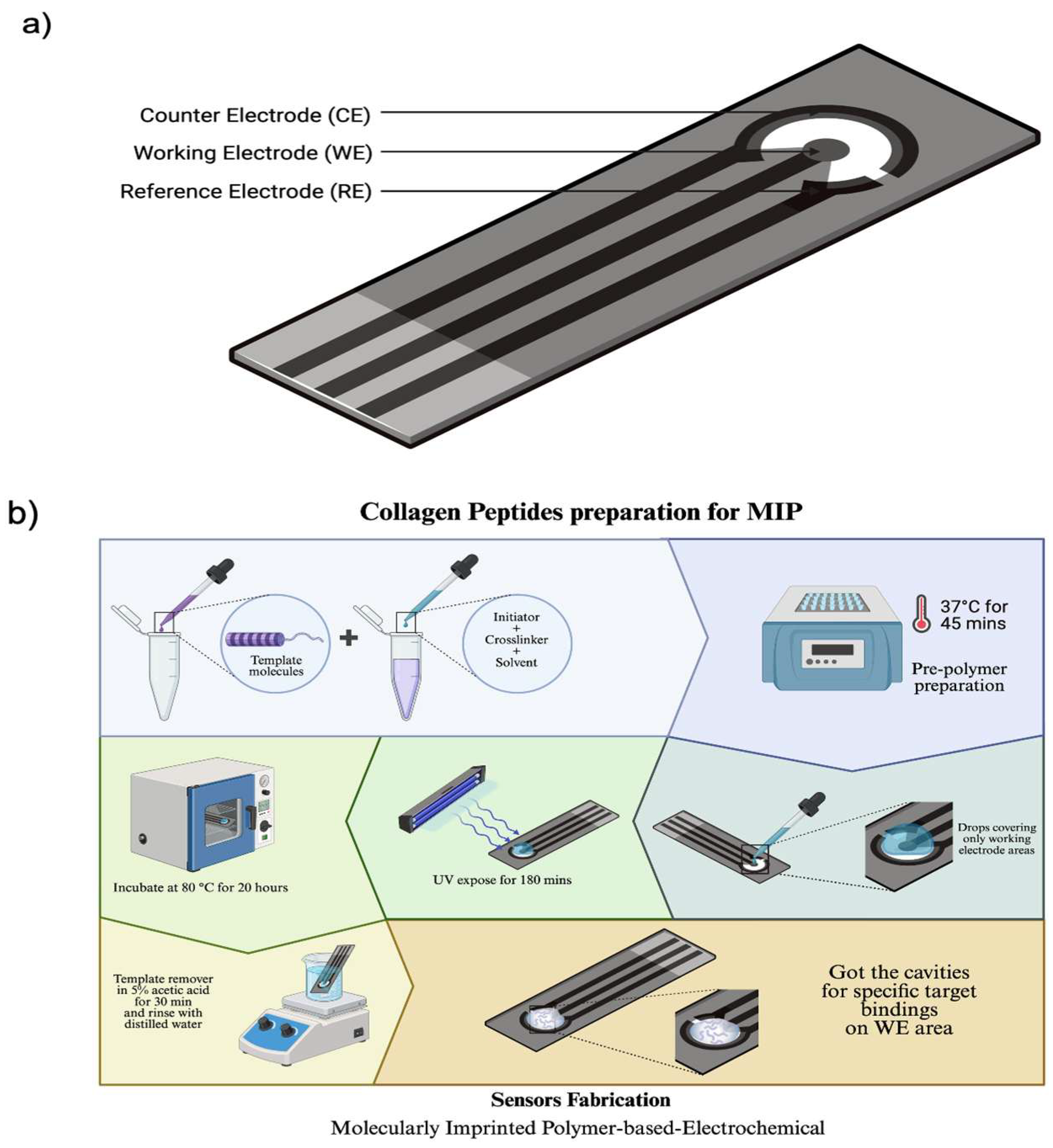 Bioengineering 12 01272 g001 Bioengineering 12 01272 g001