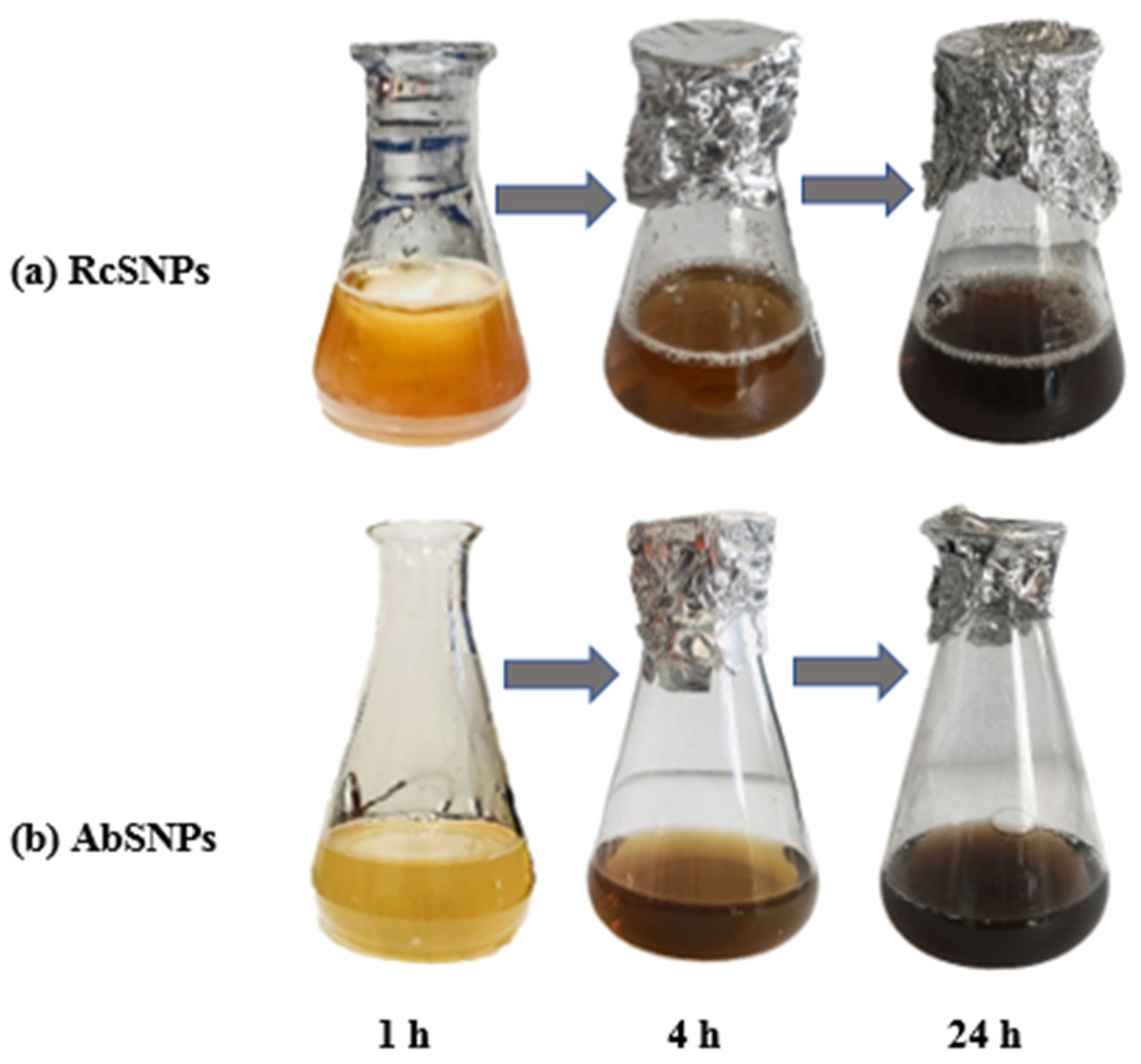 Bioengineering 12 01273 g001 Bioengineering 12 01273 g001