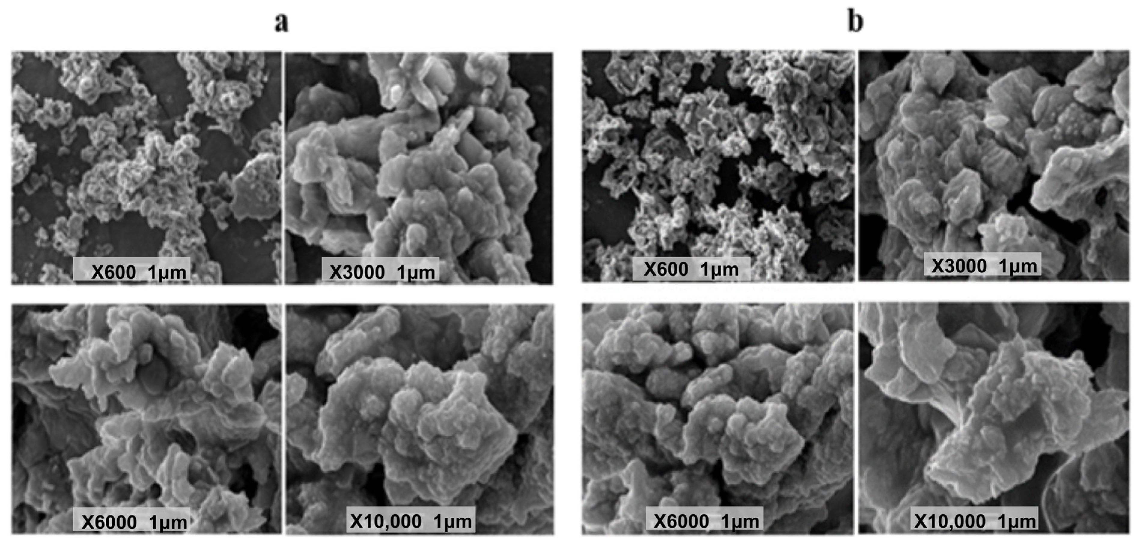 Bioengineering 12 01273 g006 Bioengineering 12 01273 g006