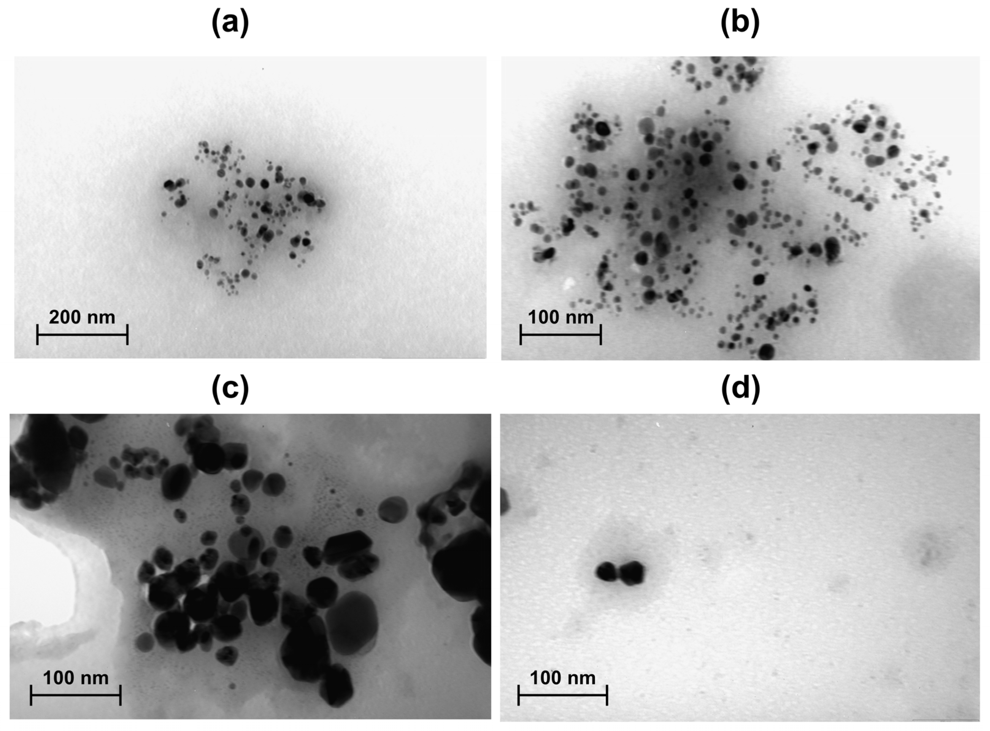 Bioengineering 12 01273 g007 Bioengineering 12 01273 g007