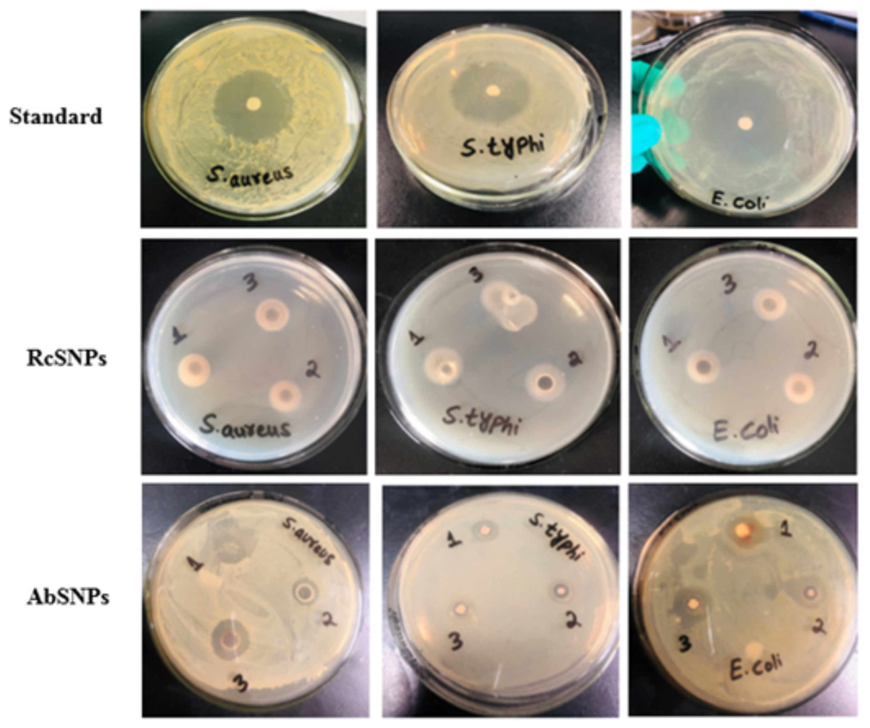 Bioengineering 12 01273 g009 Bioengineering 12 01273 g009