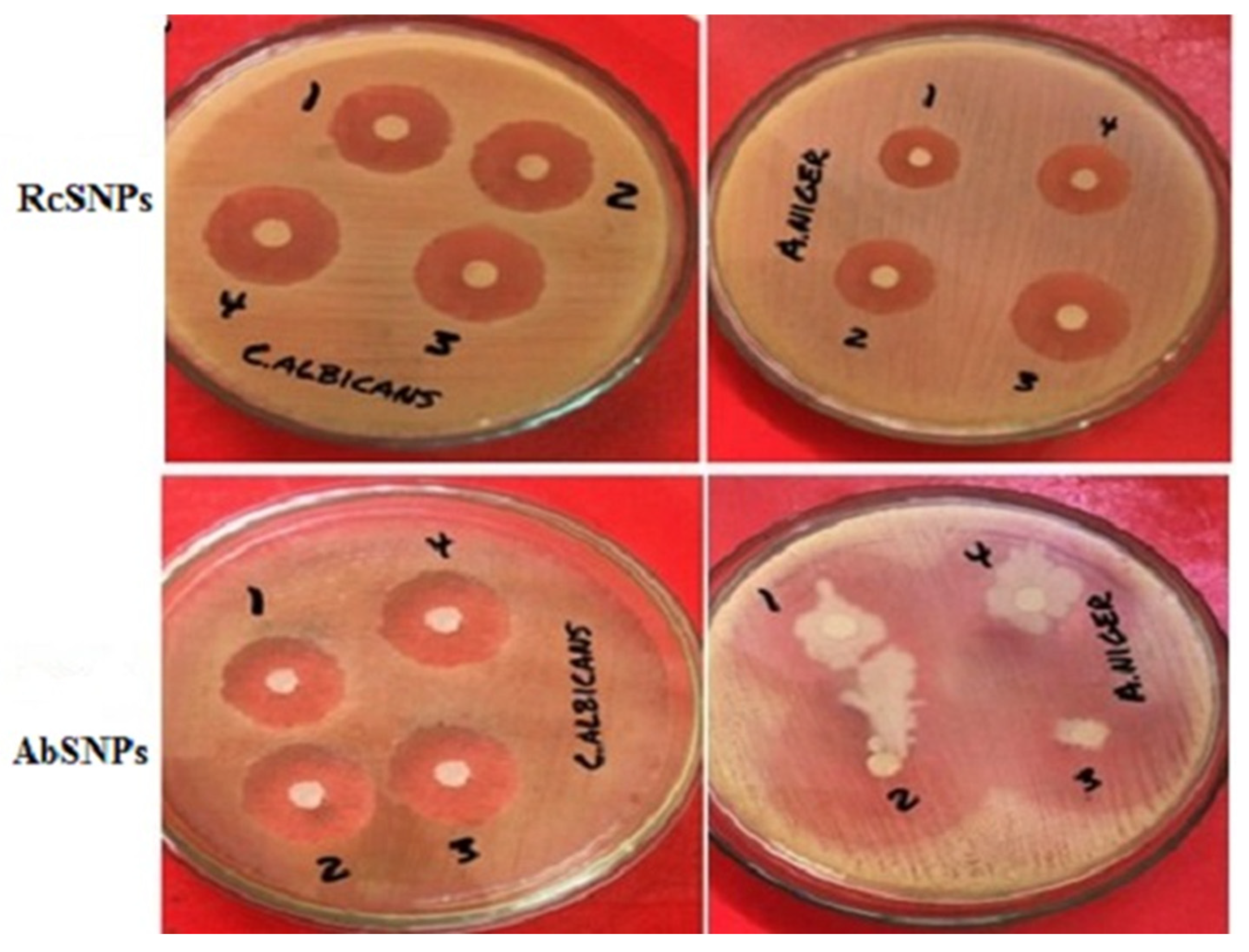 Bioengineering 12 01273 g010 Bioengineering 12 01273 g010