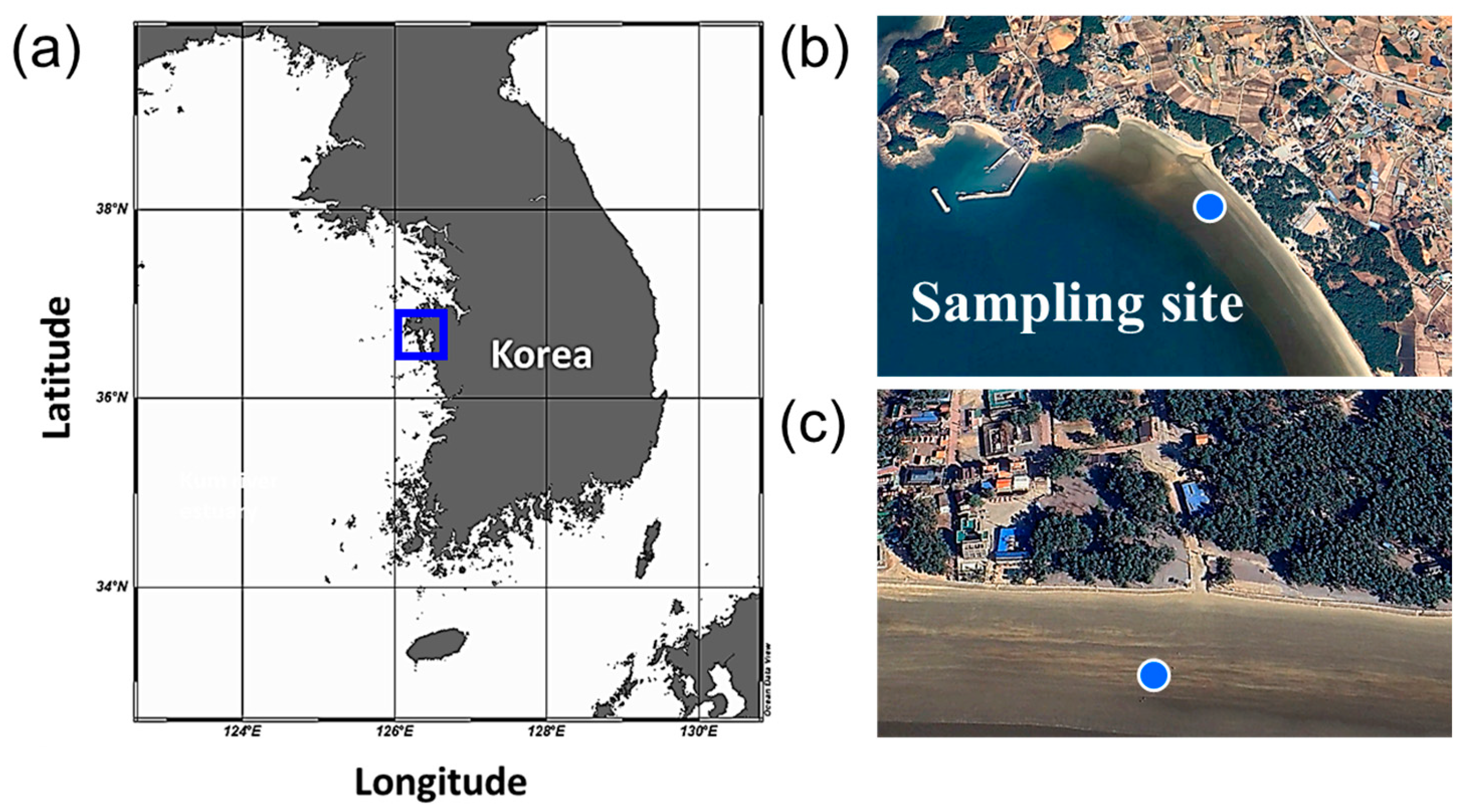 Bioengineering 12 01277 g004