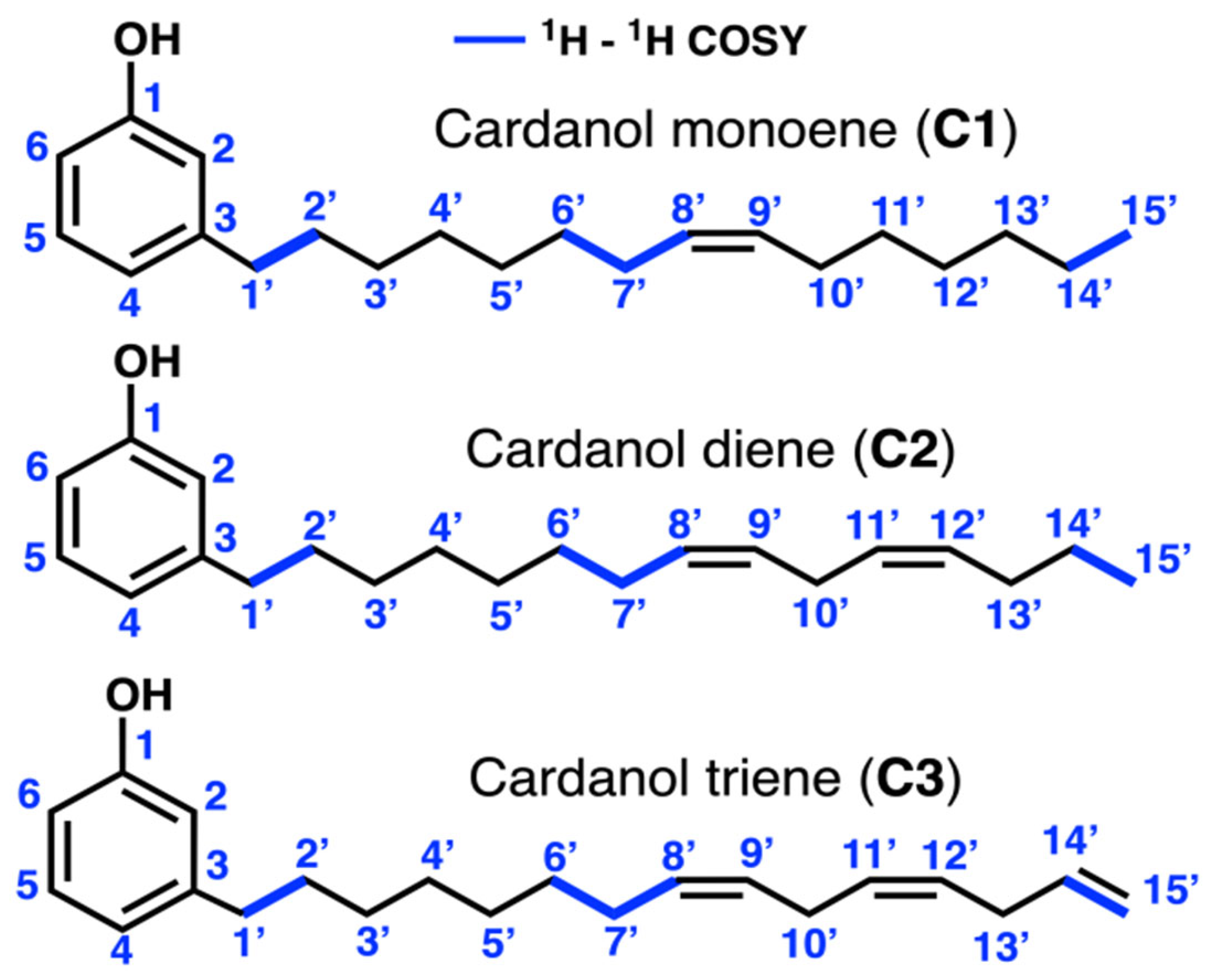Bioengineering 12 01316 g002