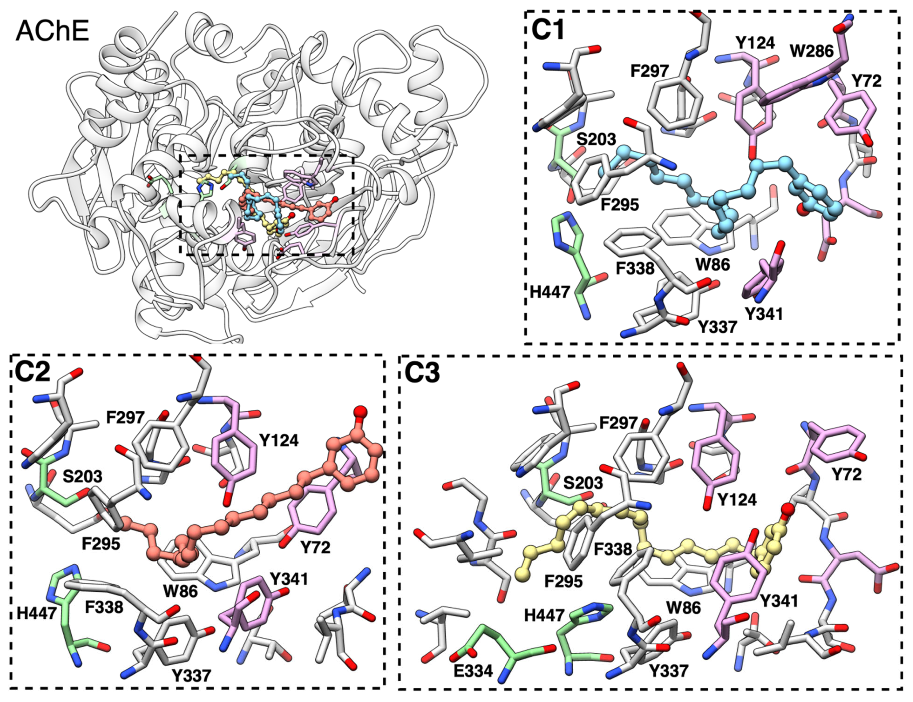Bioengineering 12 01316 g005
