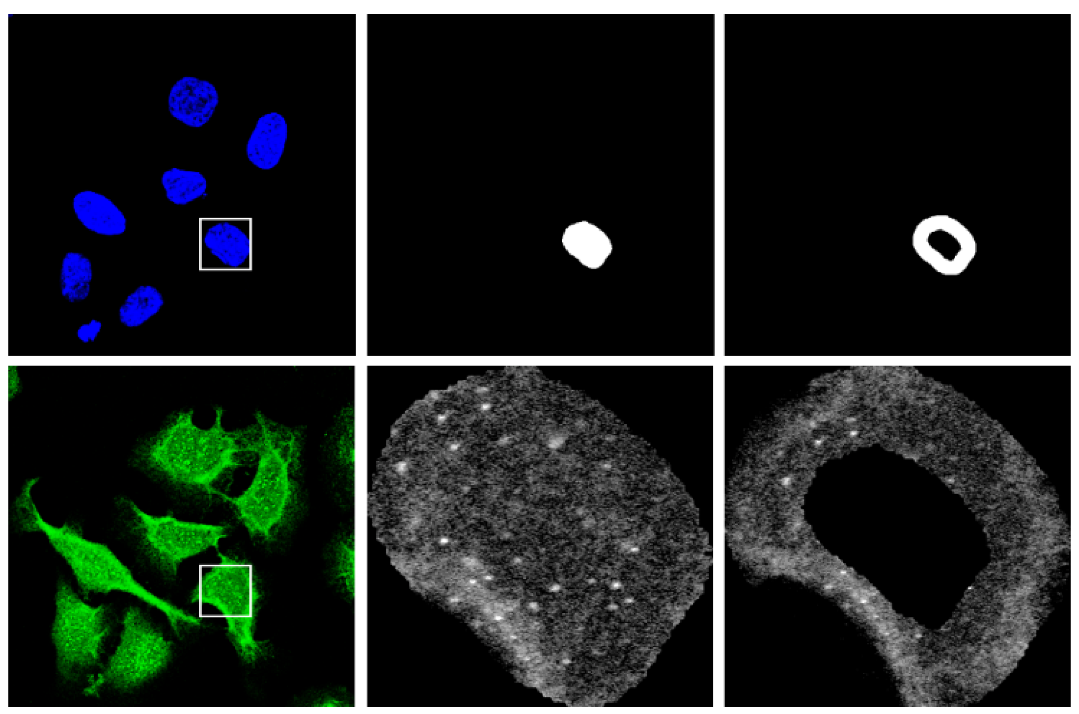 Bioengineering 12 01379 g003 Bioengineering 12 01379 g003