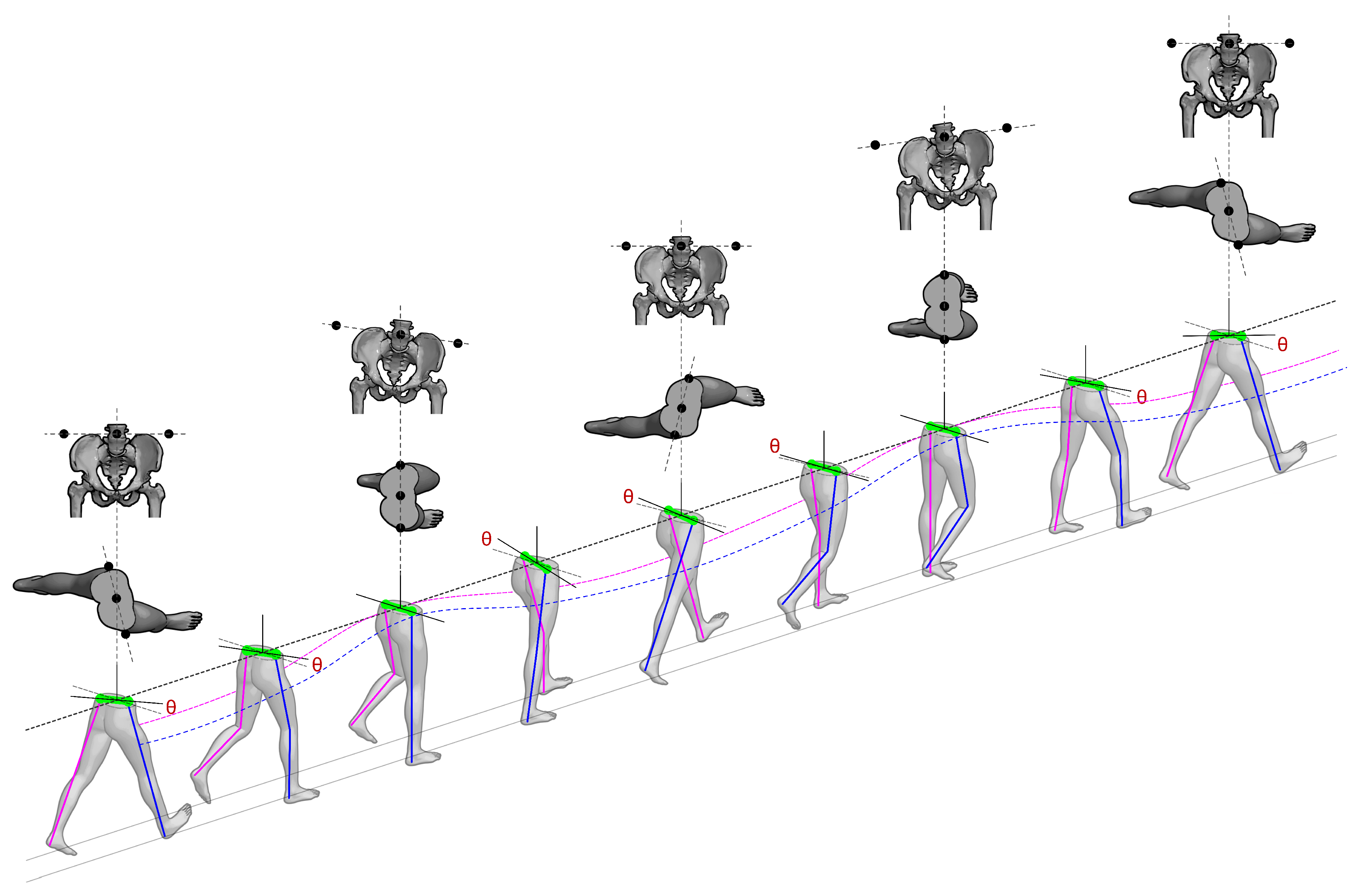 Bioengineering 13 00003 g003