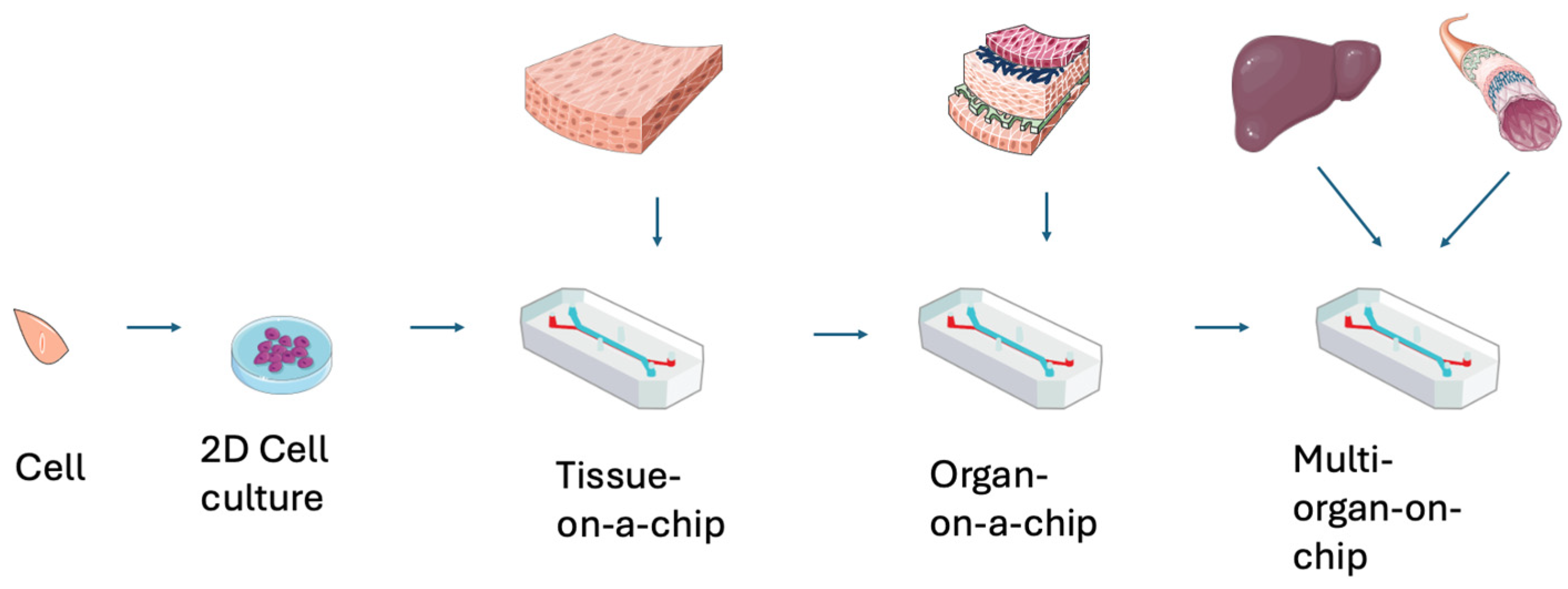 Bioengineering 13 00009 g001